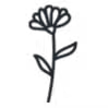 Botânica Floral Pura