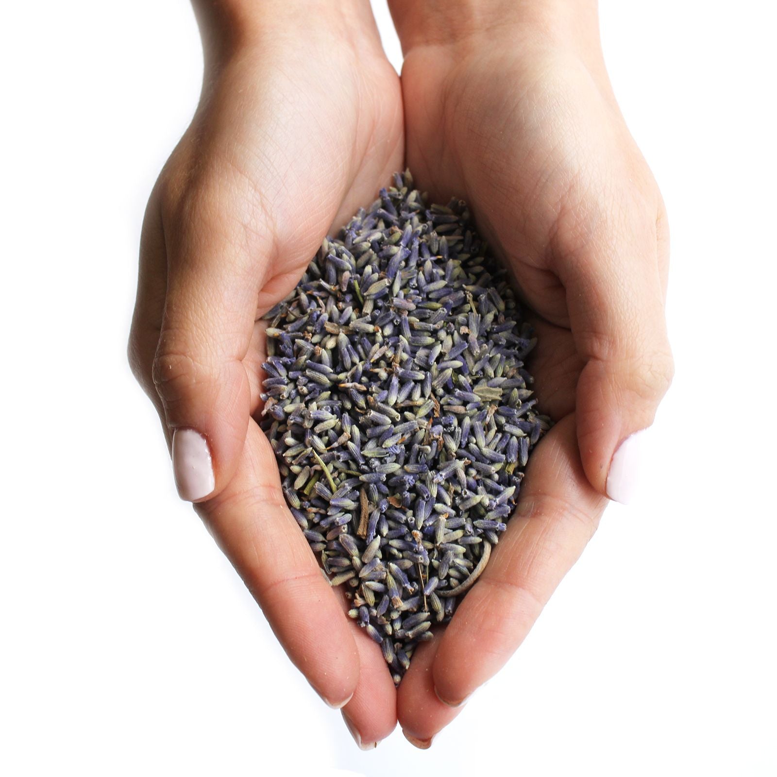 Flores de lavanda 1 kg