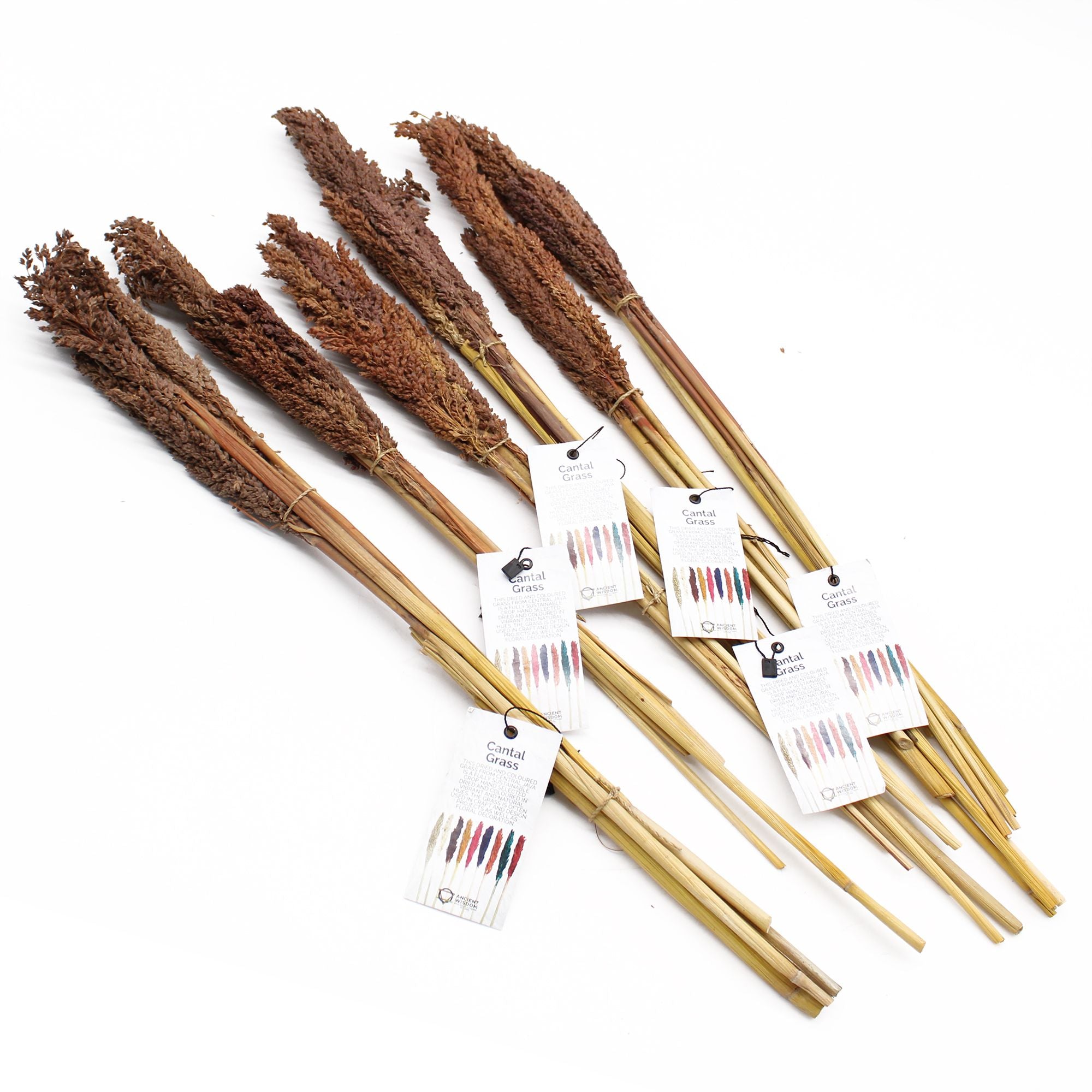 Molho de Erva Cantal Chocolate