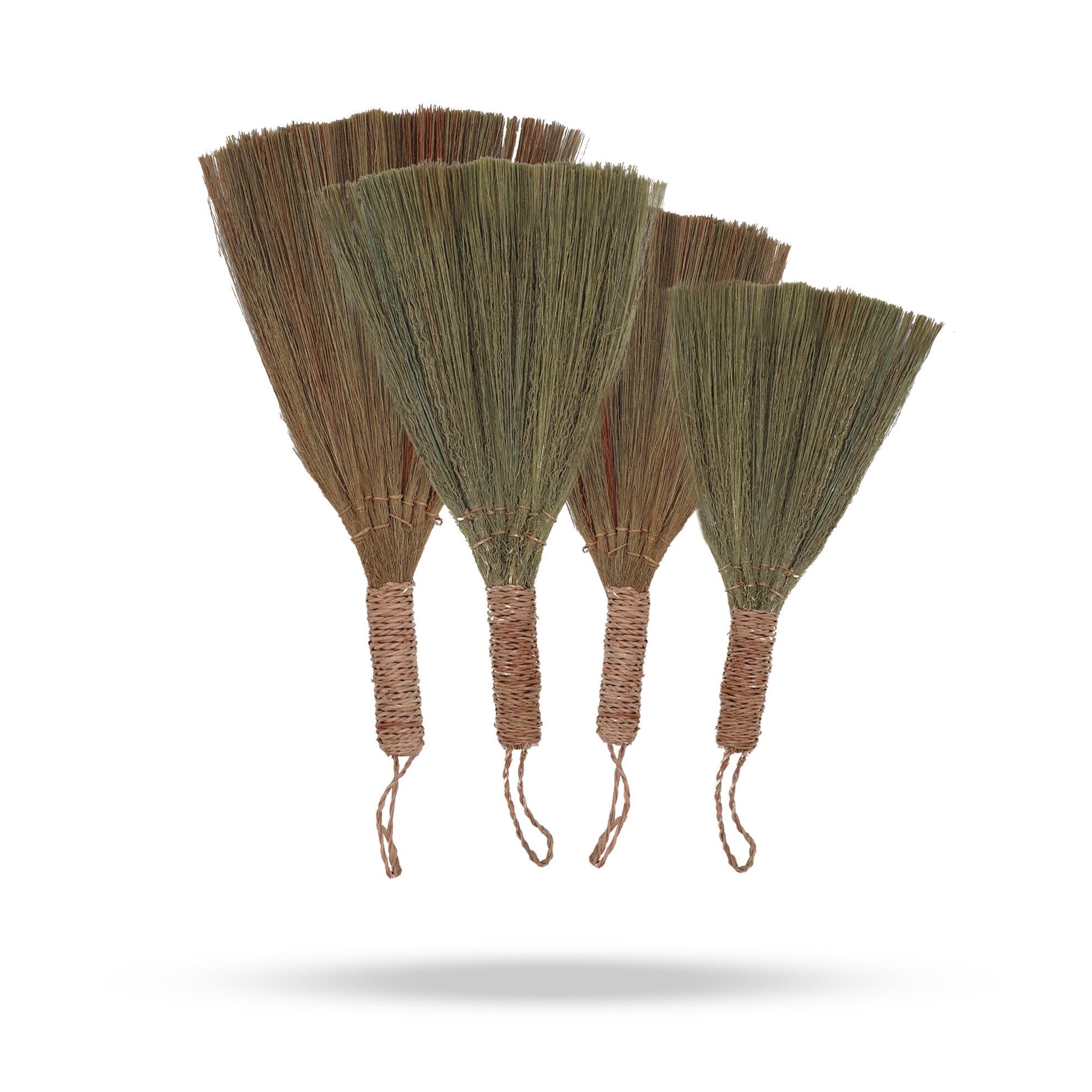 Conjunto de Pampas em Leque Natural com Tamanhos Mistos
