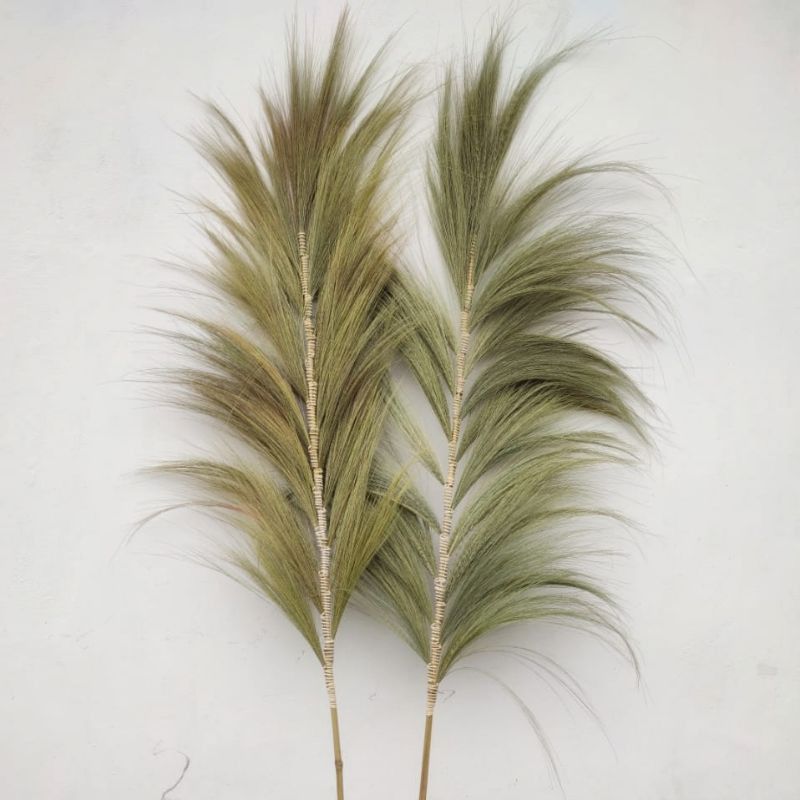 Palmeira Rayung Natural