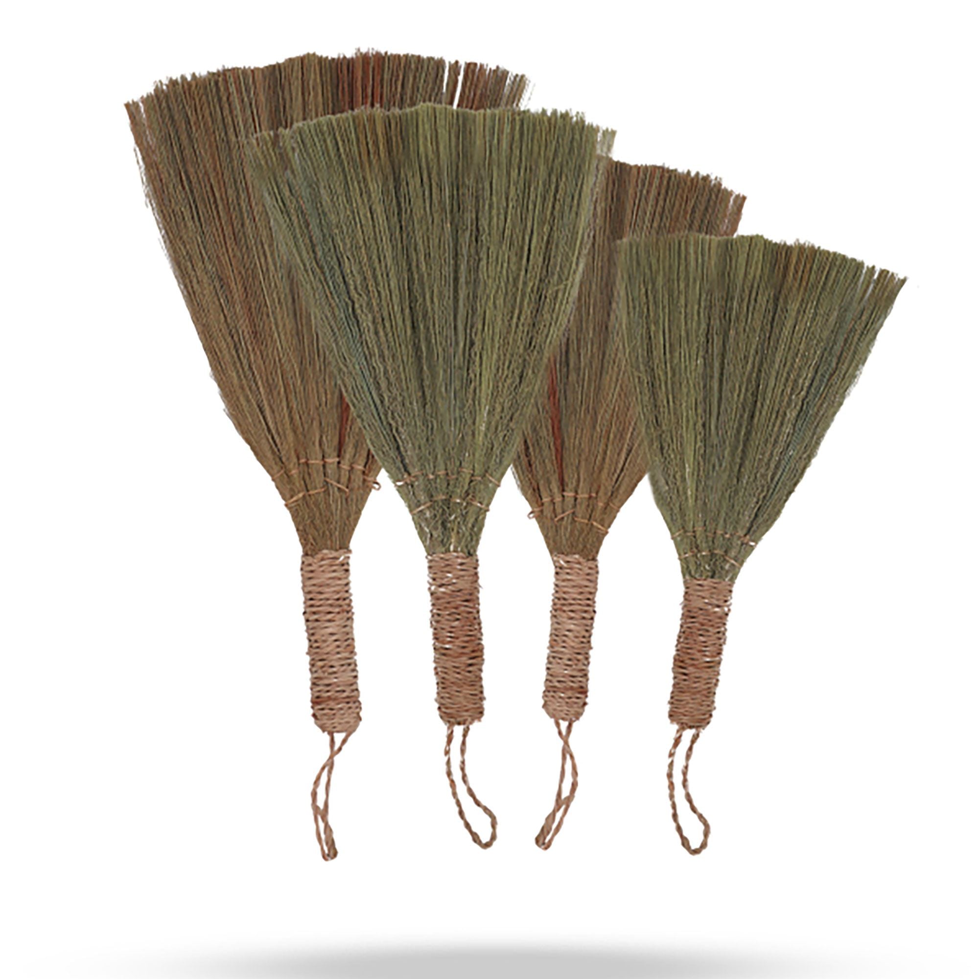 Conjunto de Pampas em Leque Natural com Tamanhos Mistos