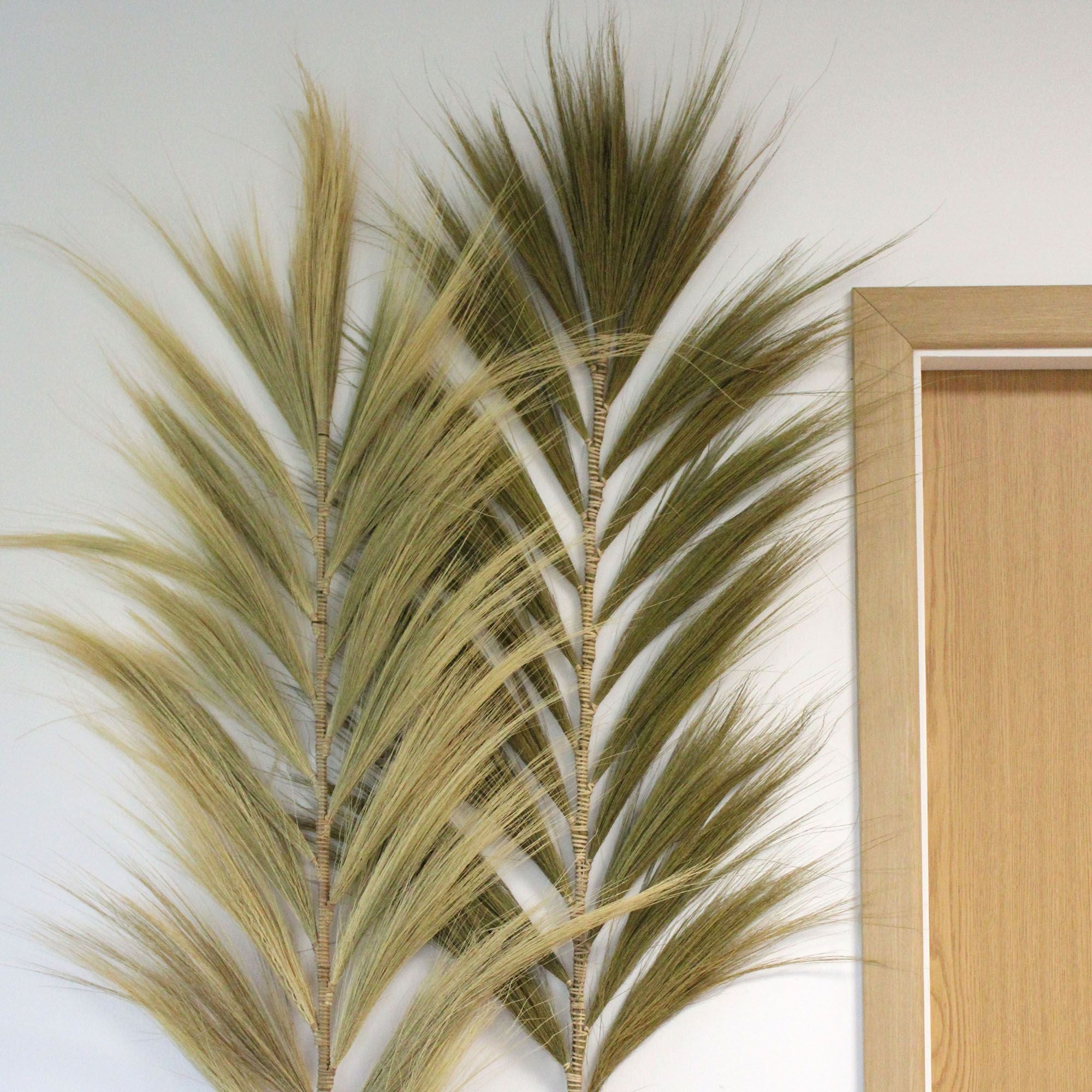 Natural Rayung Palm Tree