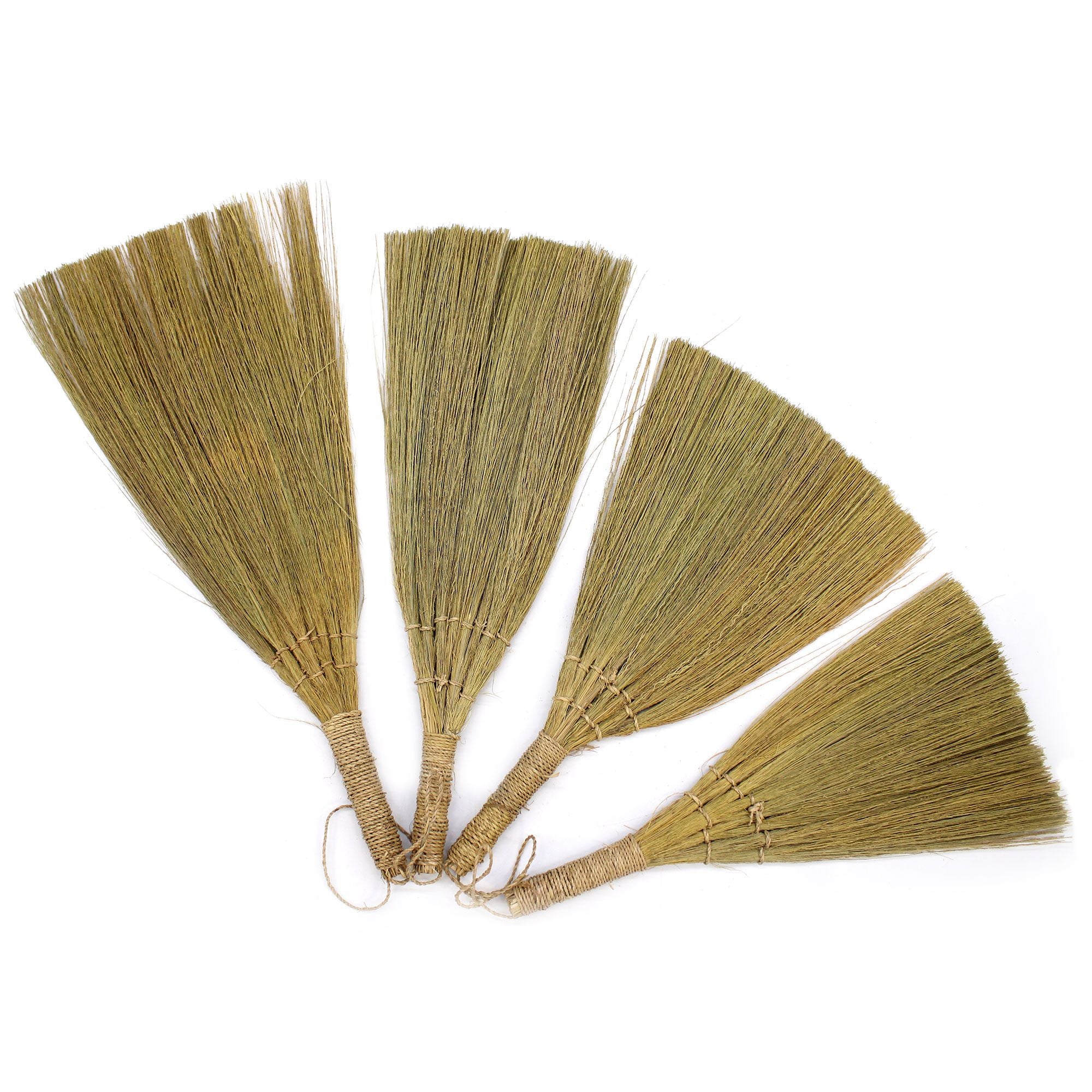 Conjunto de Pampas em Leque Natural com Tamanhos Mistos