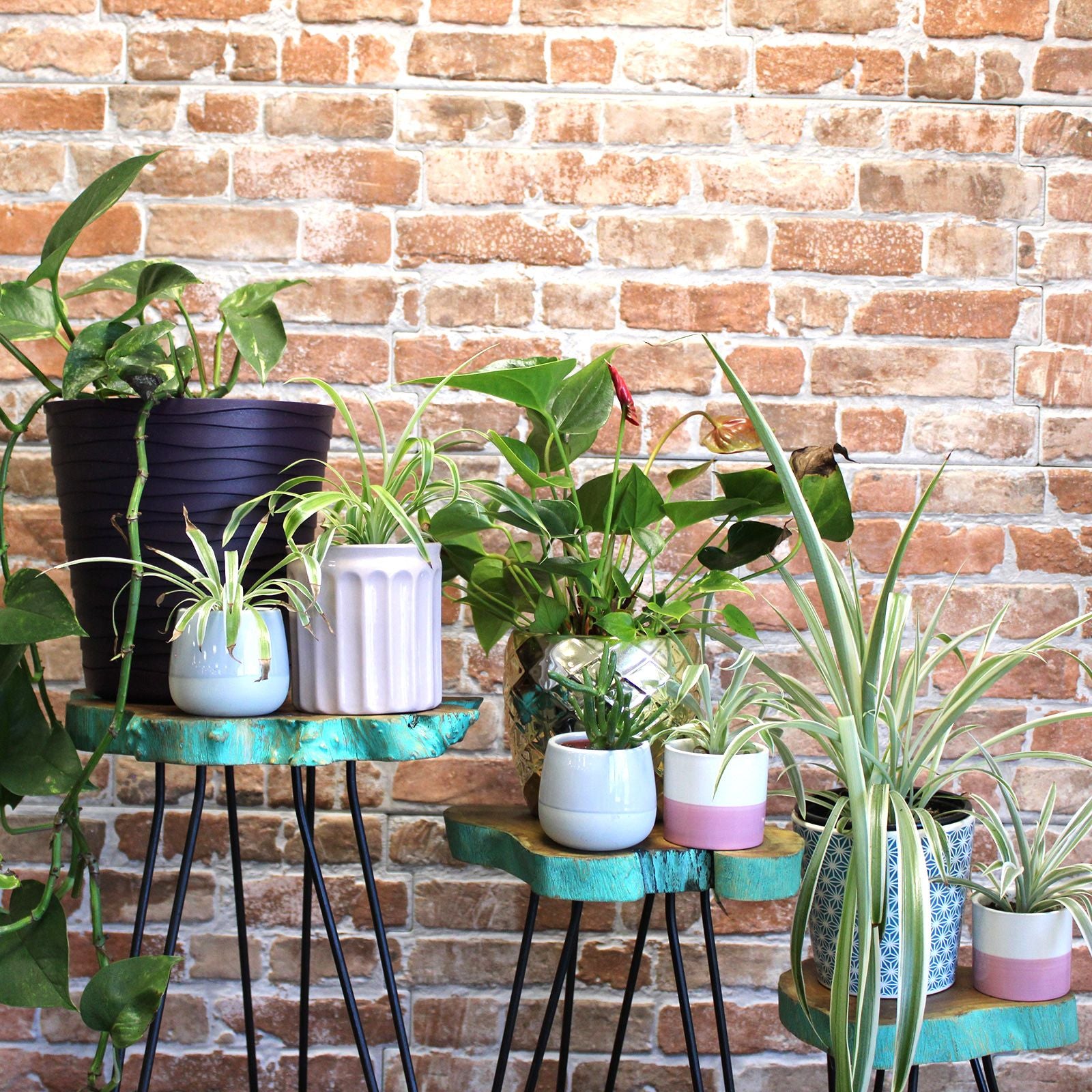 Conjunto de Vasos em Madeira Gamell Greenwash