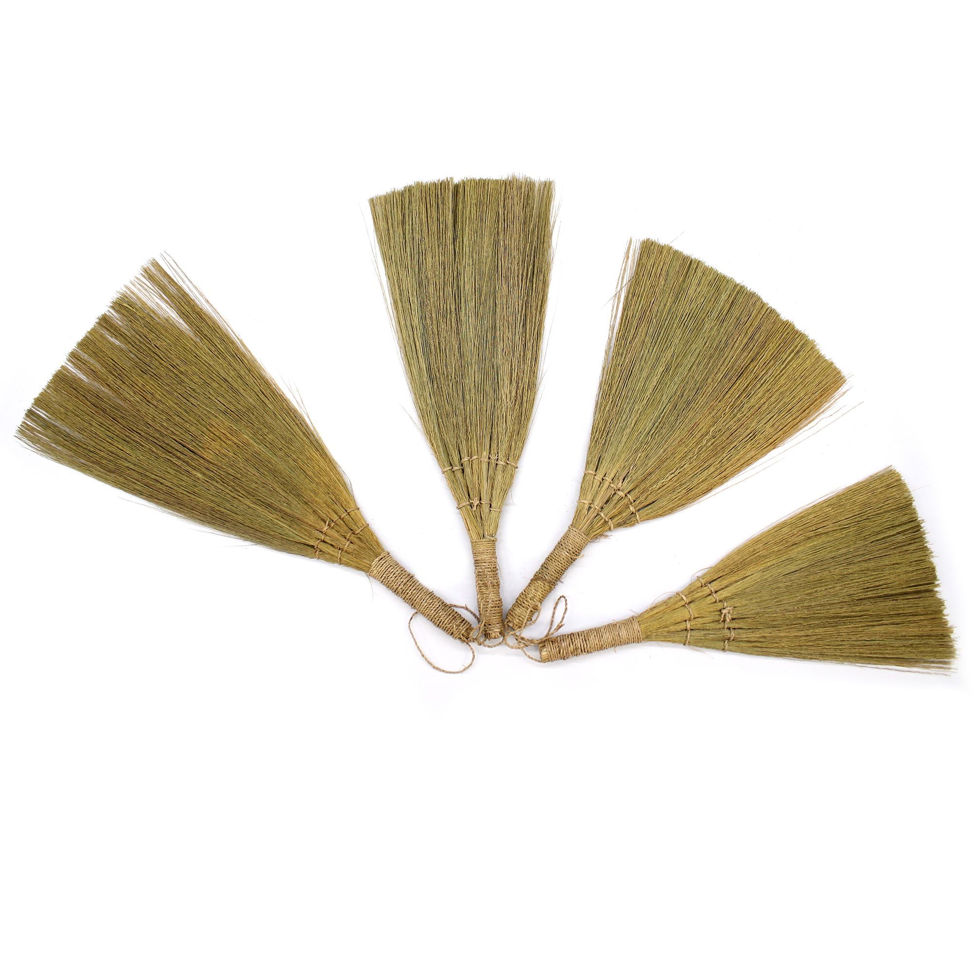 Conjunto de Pampas em Leque Natural com Tamanhos Mistos