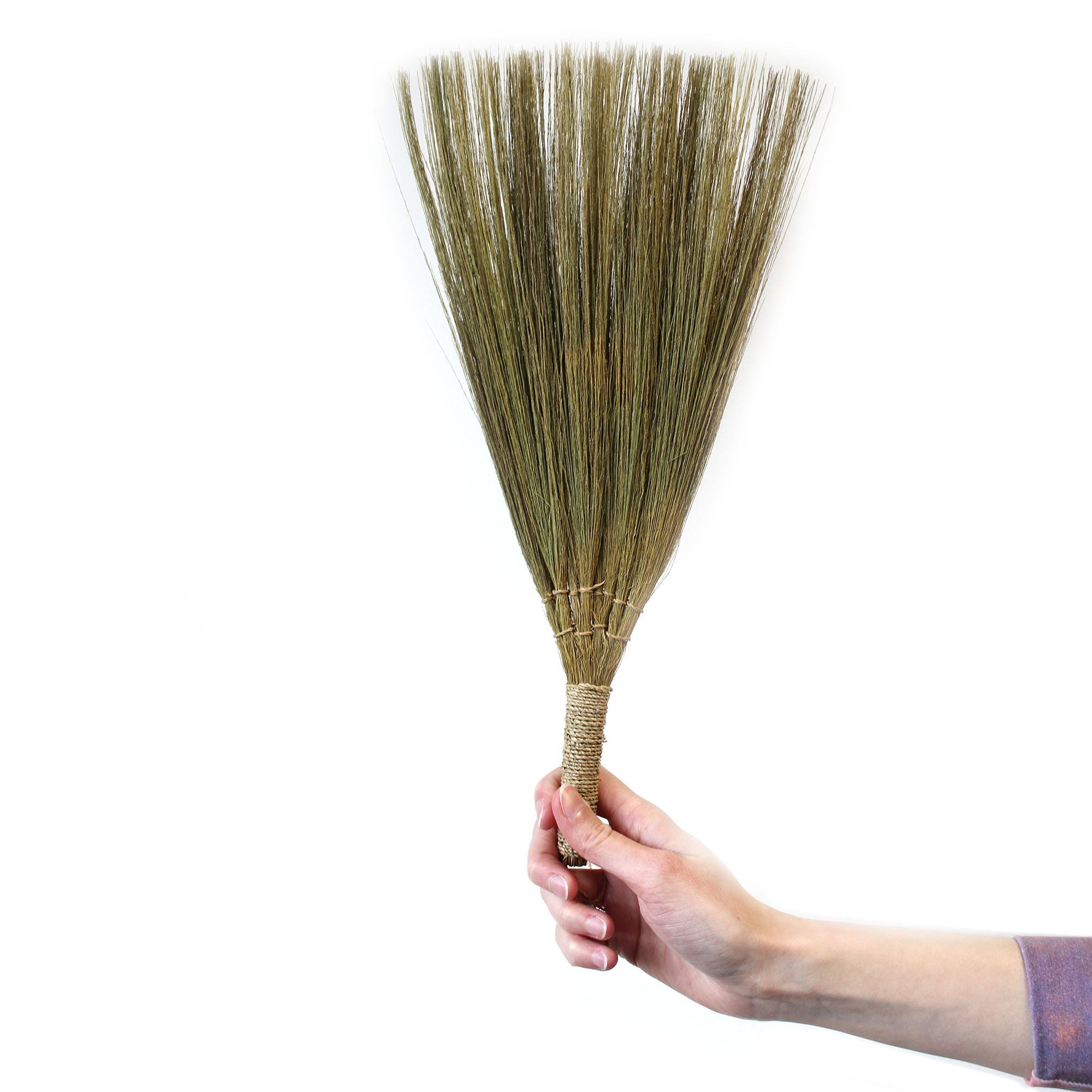 Conjunto de Pampas em Leque Natural com Tamanhos Mistos