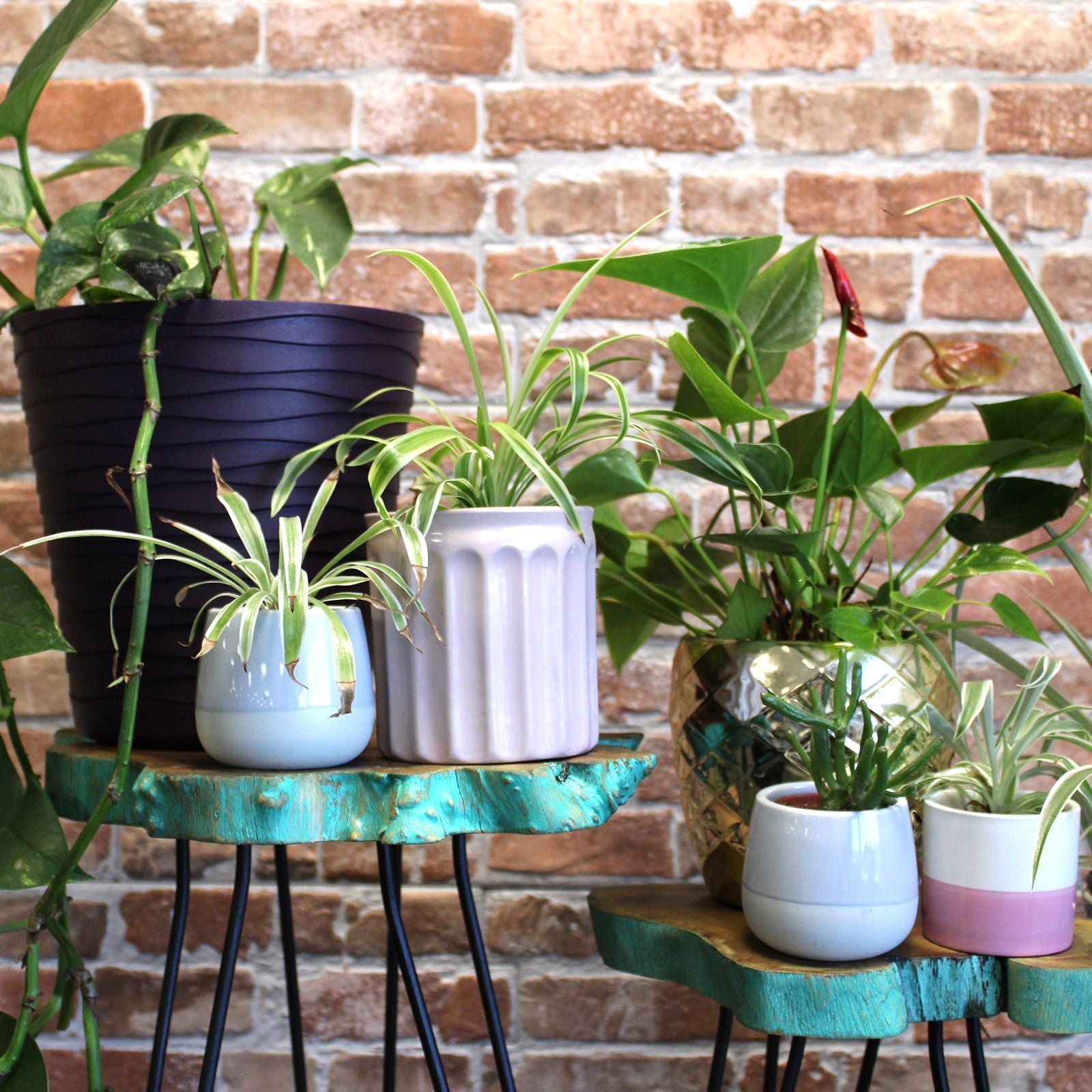 Conjunto de Vasos em Madeira Gamell Greenwash