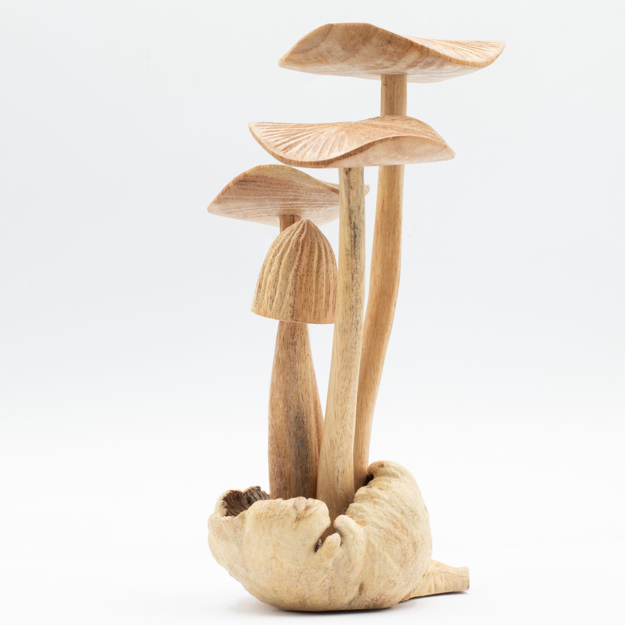Conjunto de 4 Cogumelos Grandes em Madeira Parasita