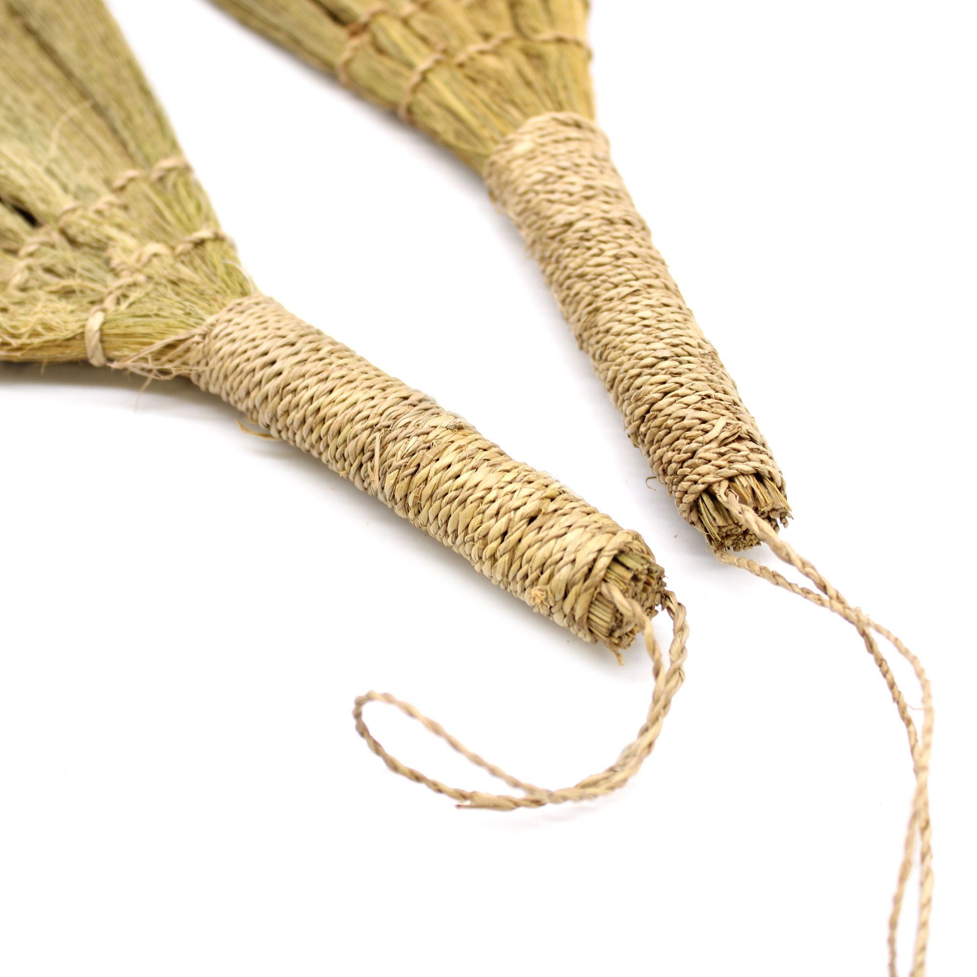 Conjunto de Pampas em Leque Natural com Tamanhos Mistos