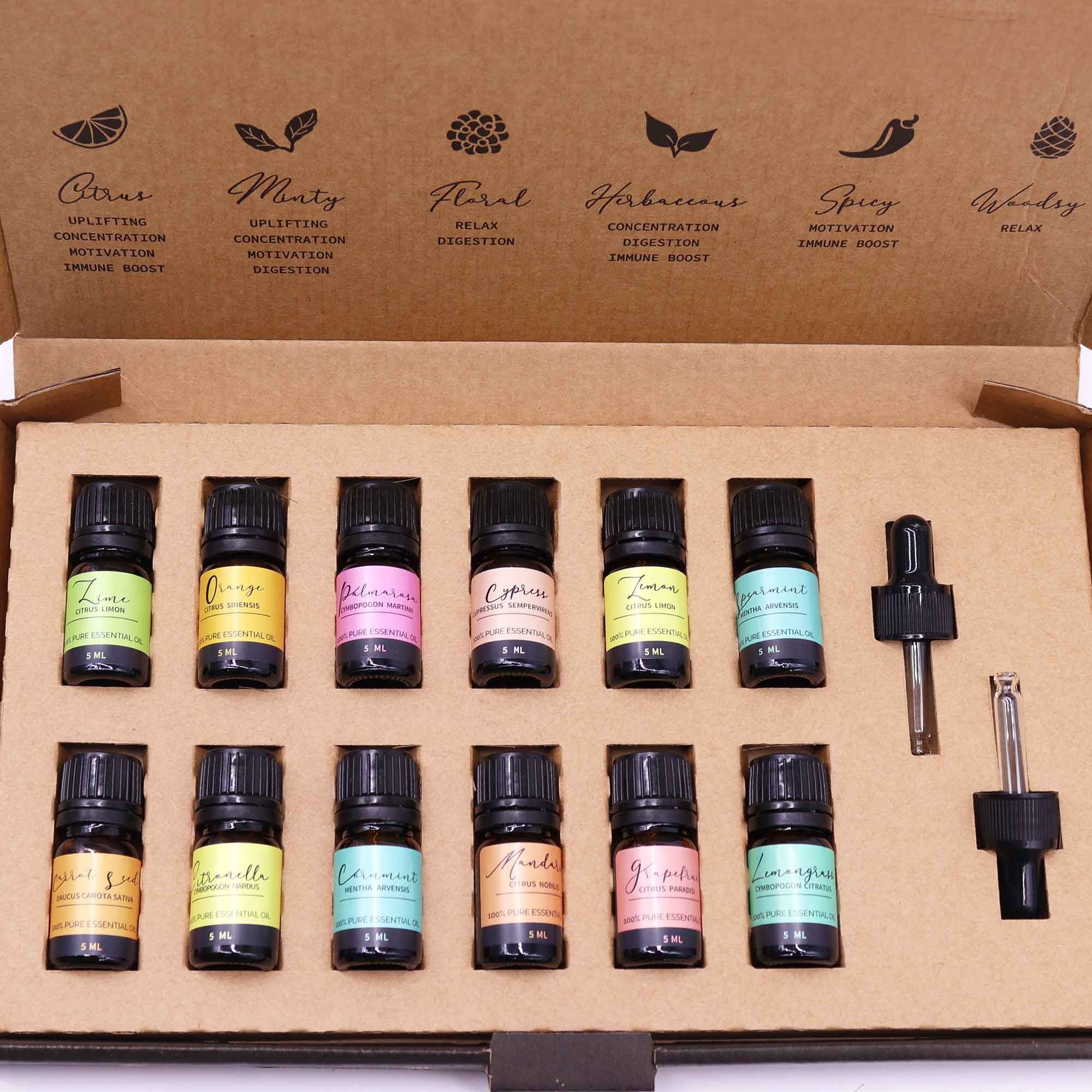 Conjunto de Óleos Essenciais de Aromaterapia – Verão (12×5 ml)