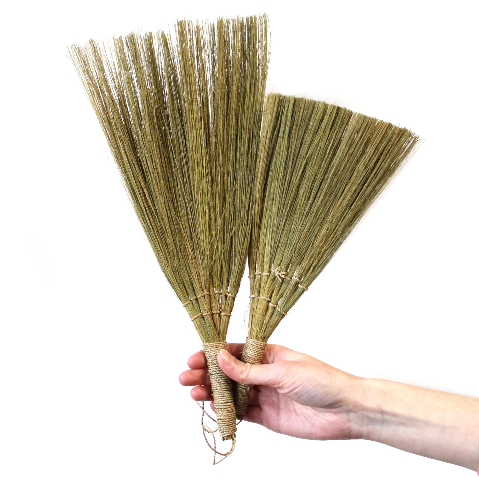 Conjunto de Pampas em Leque Natural com Tamanhos Mistos