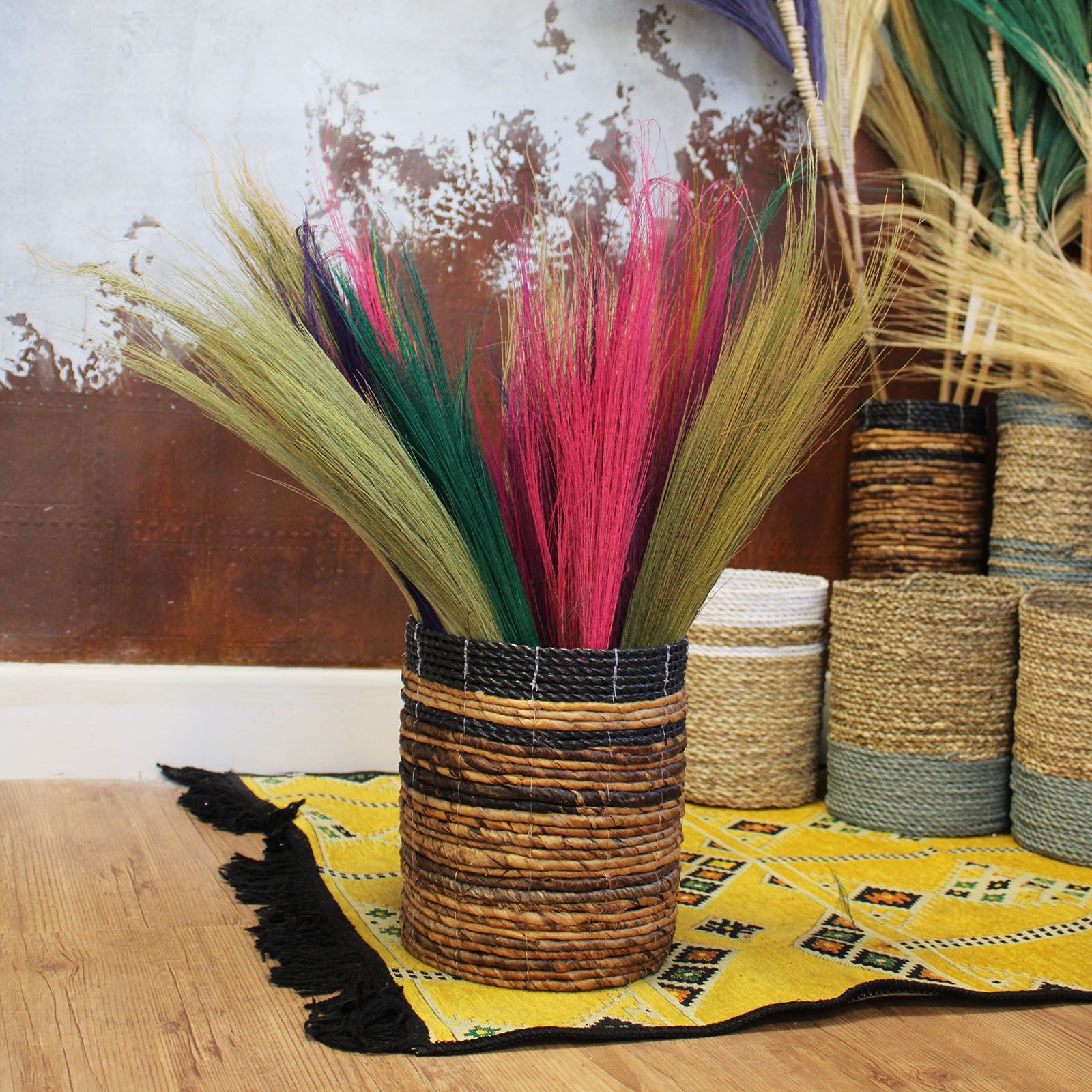 Conjunto de Pampas Tipo Vassoura Longa Cores Vivas