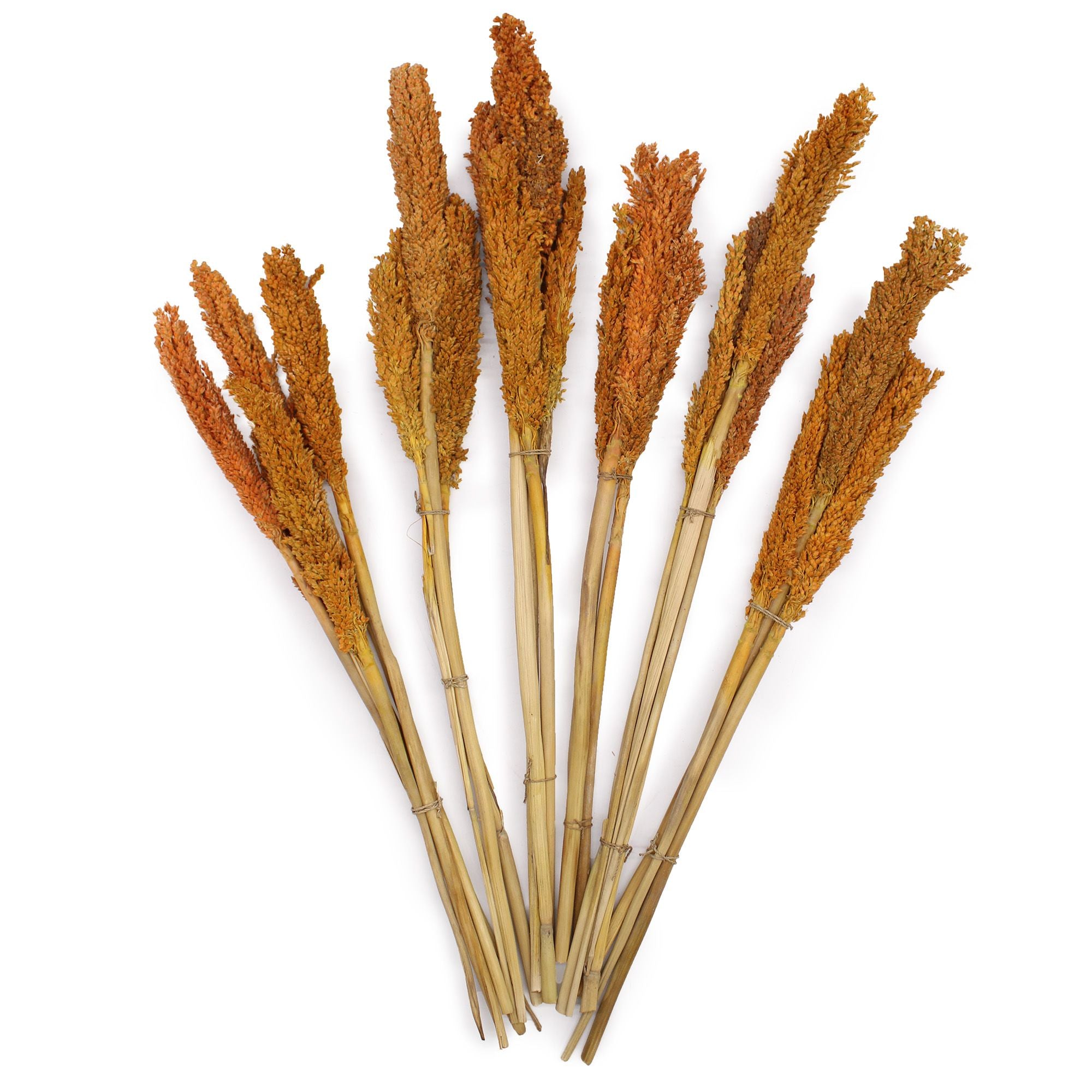 Molho de Erva Cantal Laranja