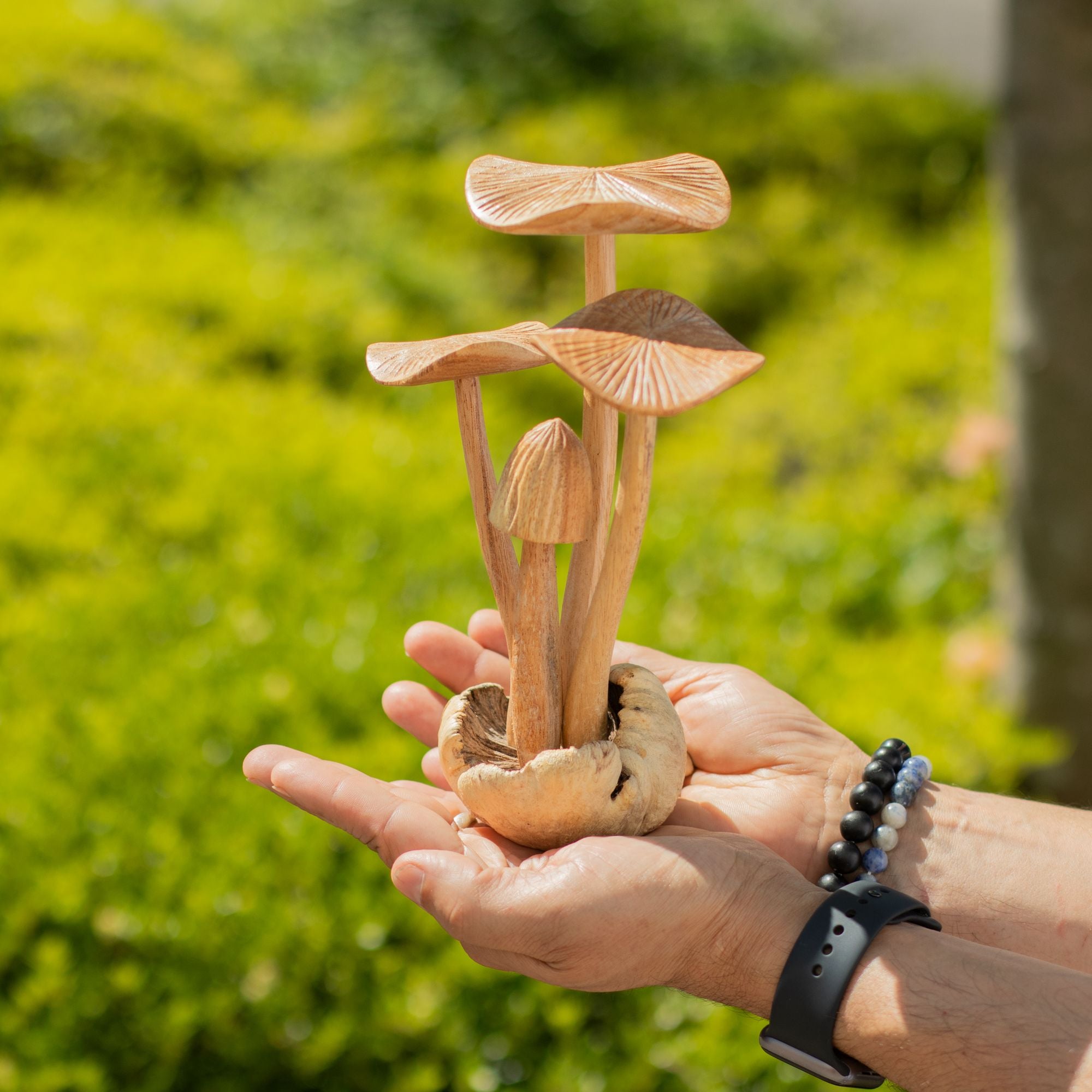 Conjunto de 4 Cogumelos Grandes em Madeira Parasita