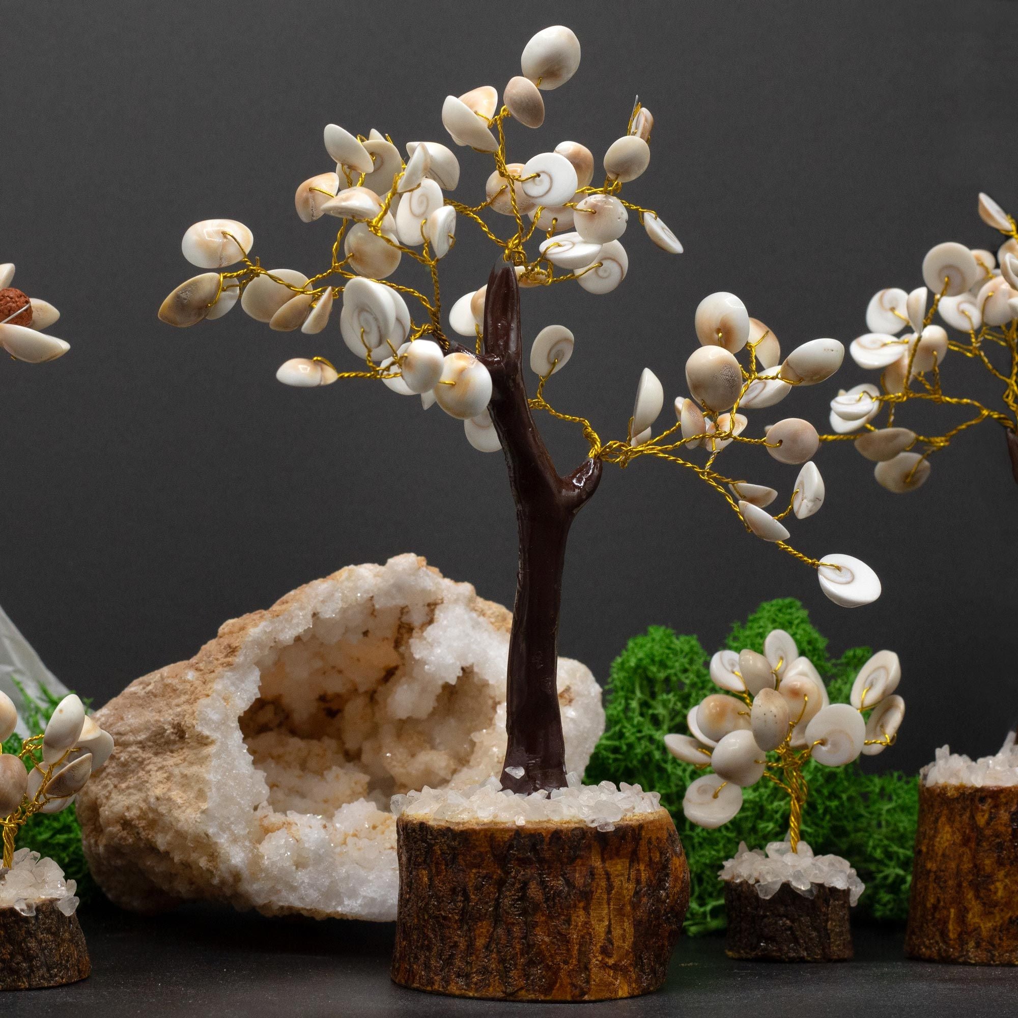 Árbol de Piedra Gomati Chakras Círculo Grande (60 Piedras)