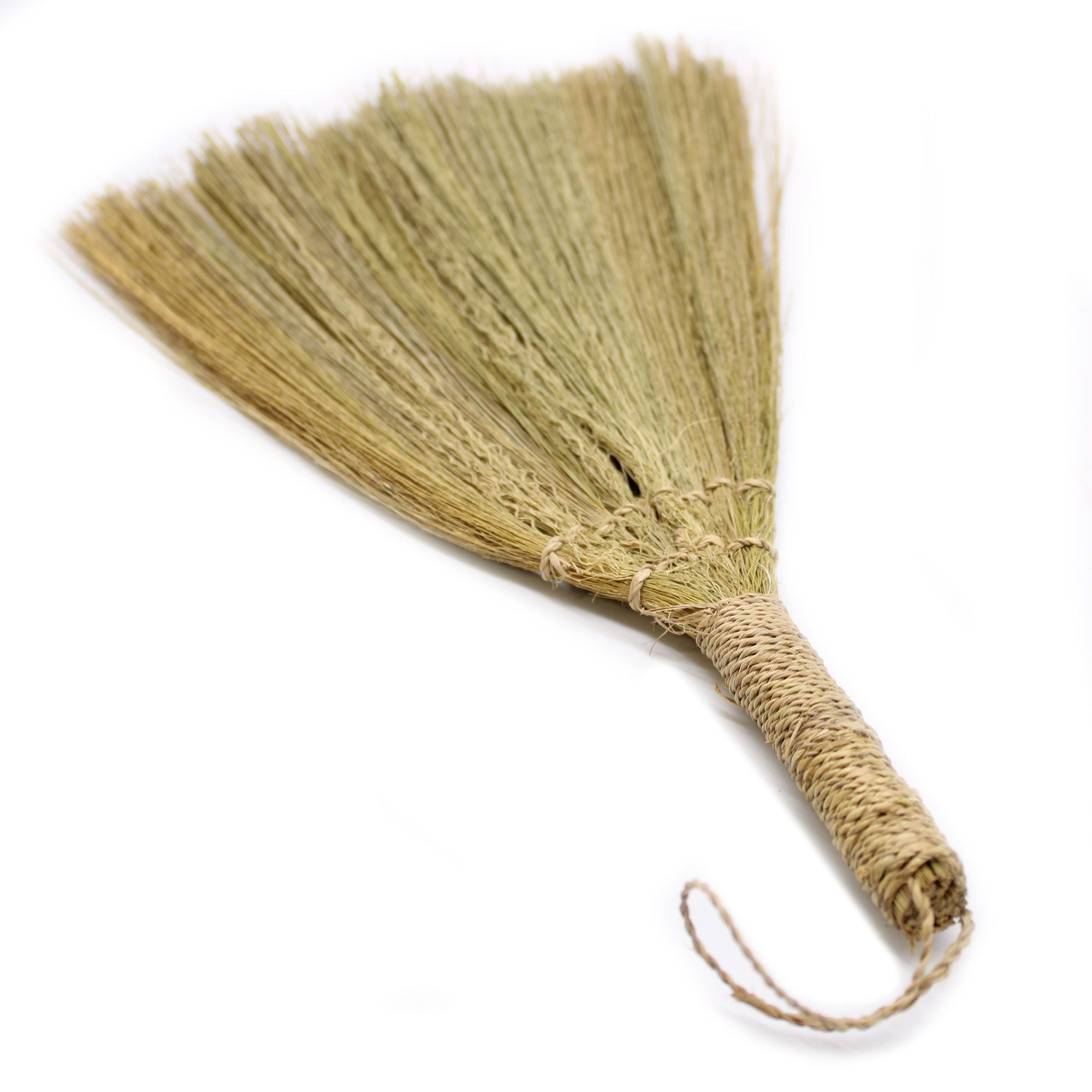 Conjunto de Pampas em Leque Natural com Tamanhos Mistos