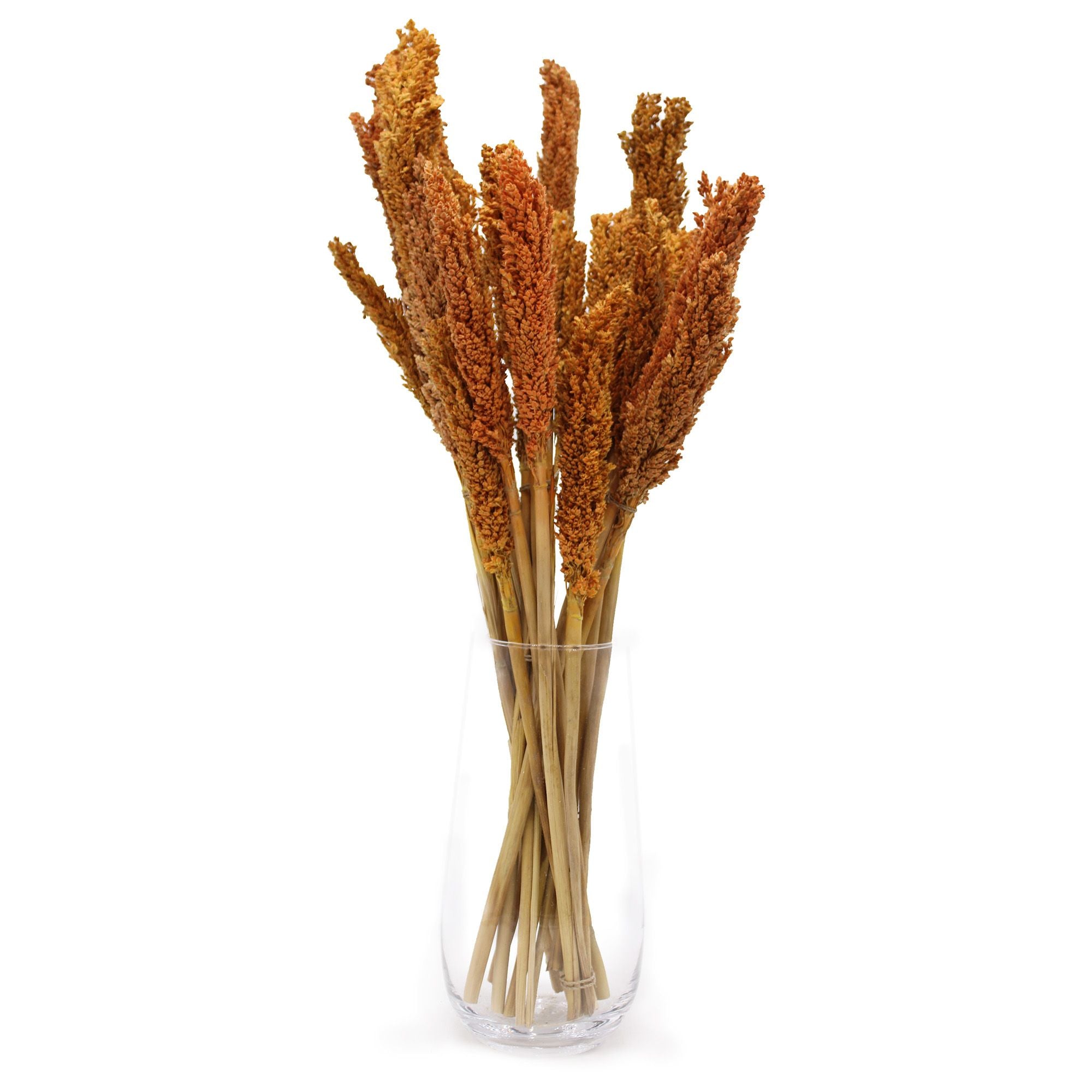 Molho de Erva Cantal Laranja