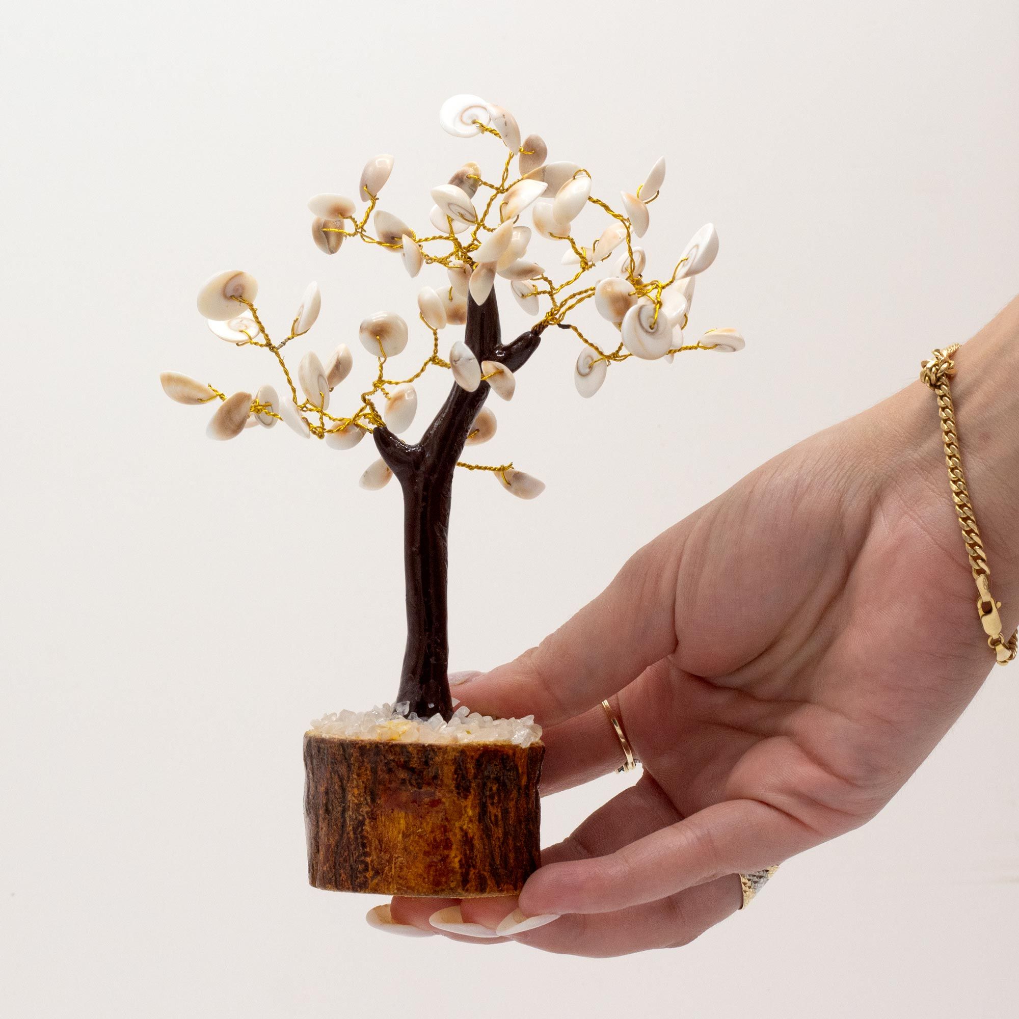 Árbol de Piedra Gomati Chakras Círculo Grande (60 Piedras)