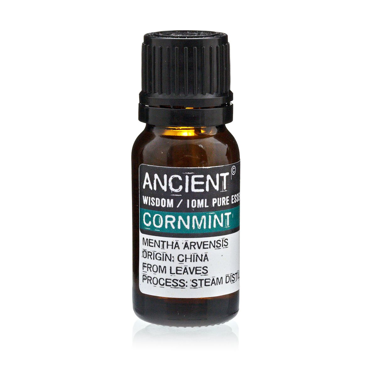 Óleo Essencial Puro – Menta Verde 10 ml