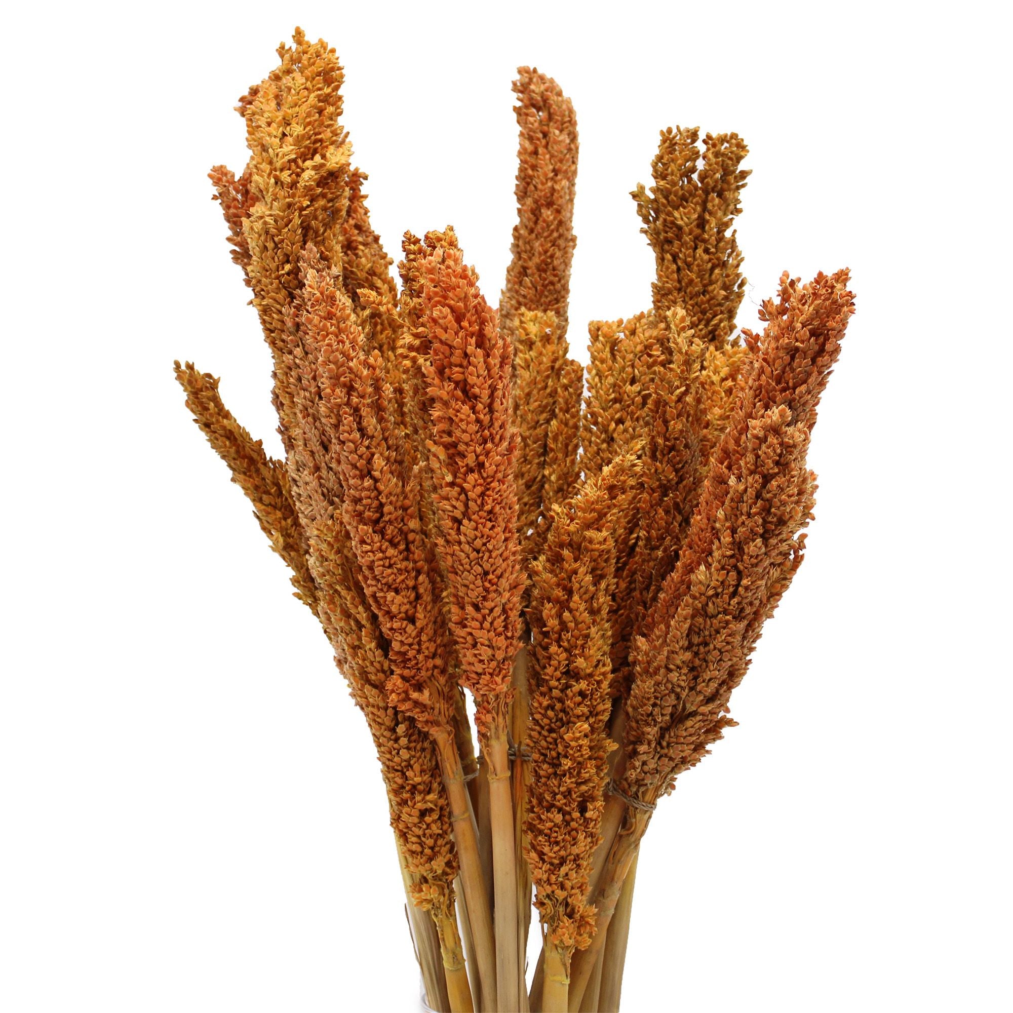 Molho de Erva Cantal Laranja
