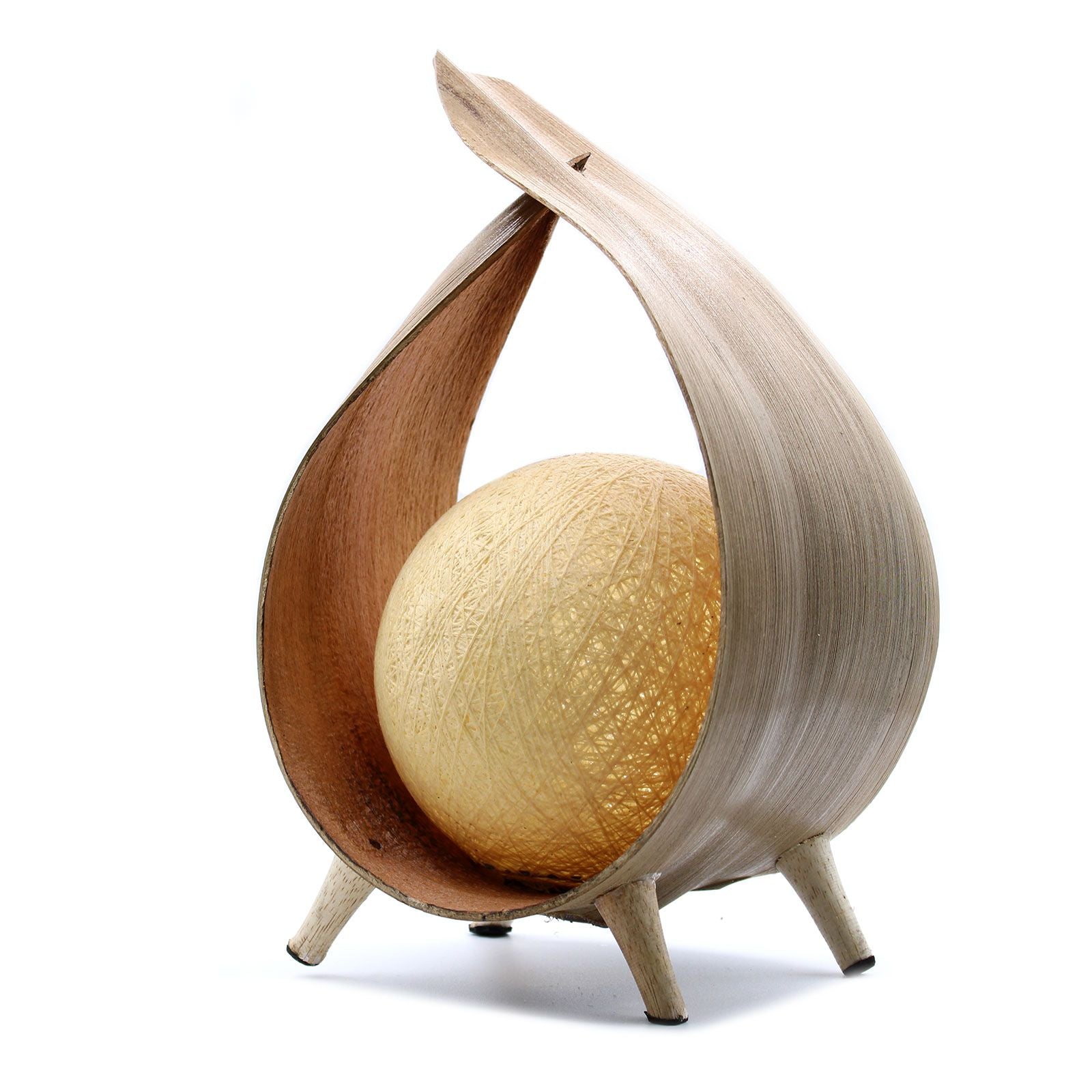 Lâmpada de Coco Natural – Envolvimento Natural