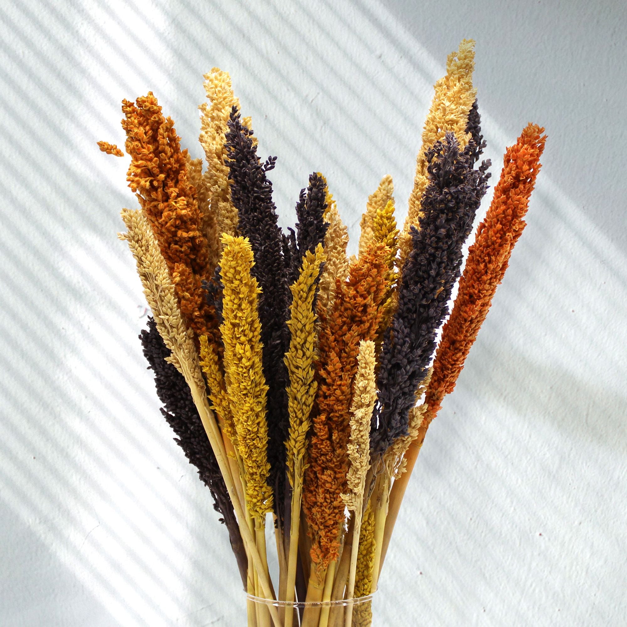 Molho de Erva Cantal Laranja