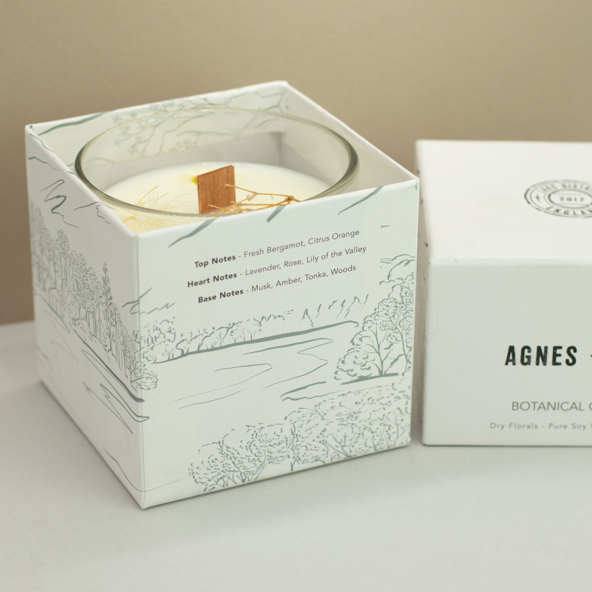 Vela Botânica de Cera de Soja Agnes + Cat Windermere