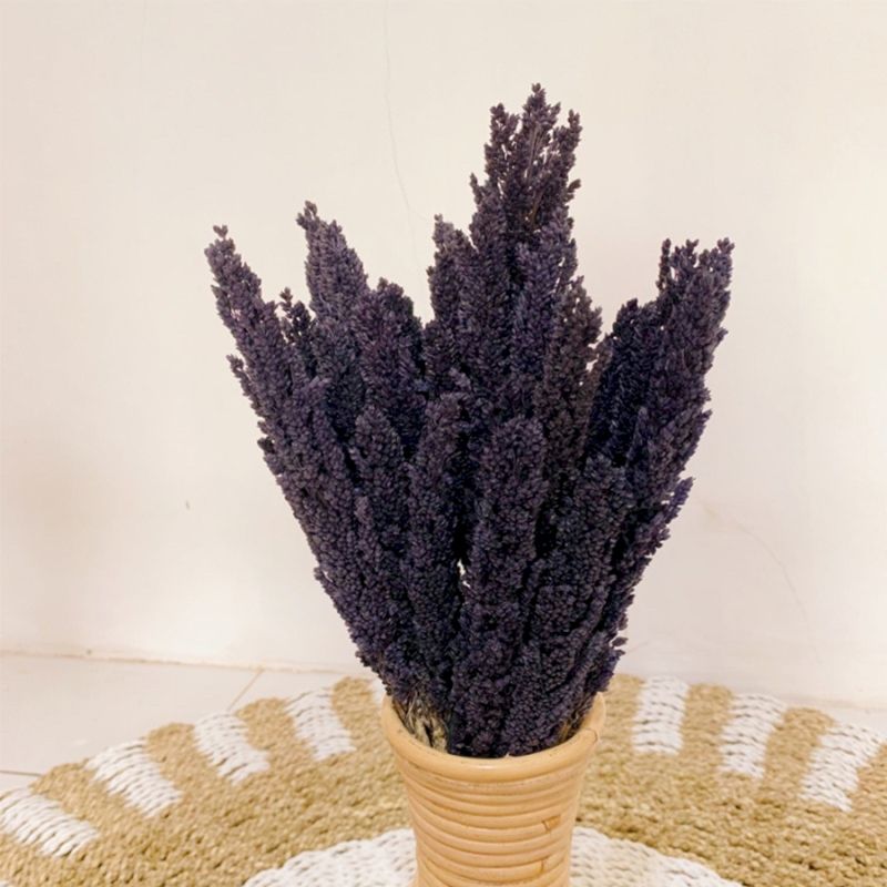 Black Cantal Herb Sauce