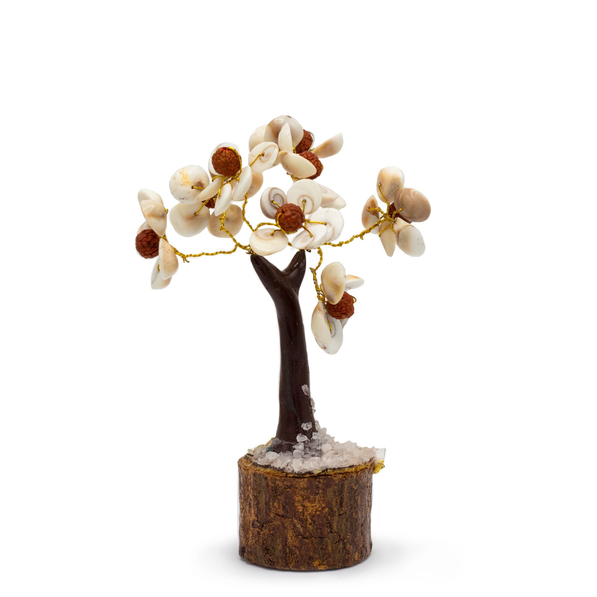 Árvore de Pedra Gomati Chakras Círculo com Rudraksha Médio (45 Pedras)