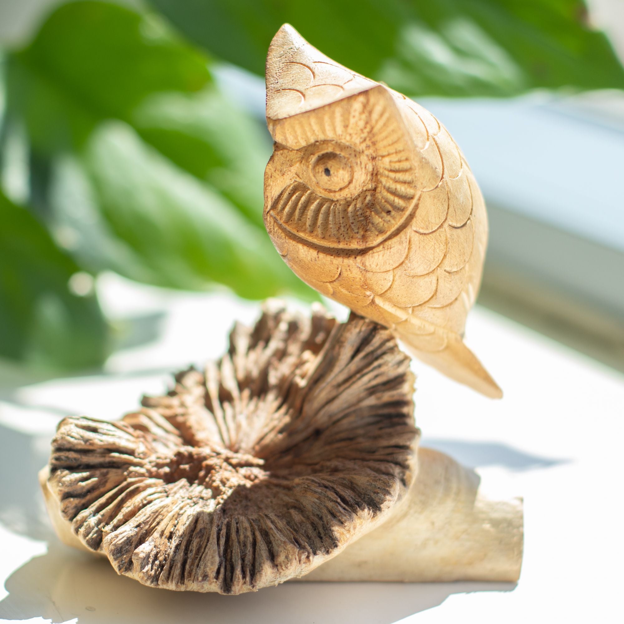 Escultura em Madeira Parasita com Coruja Observadora