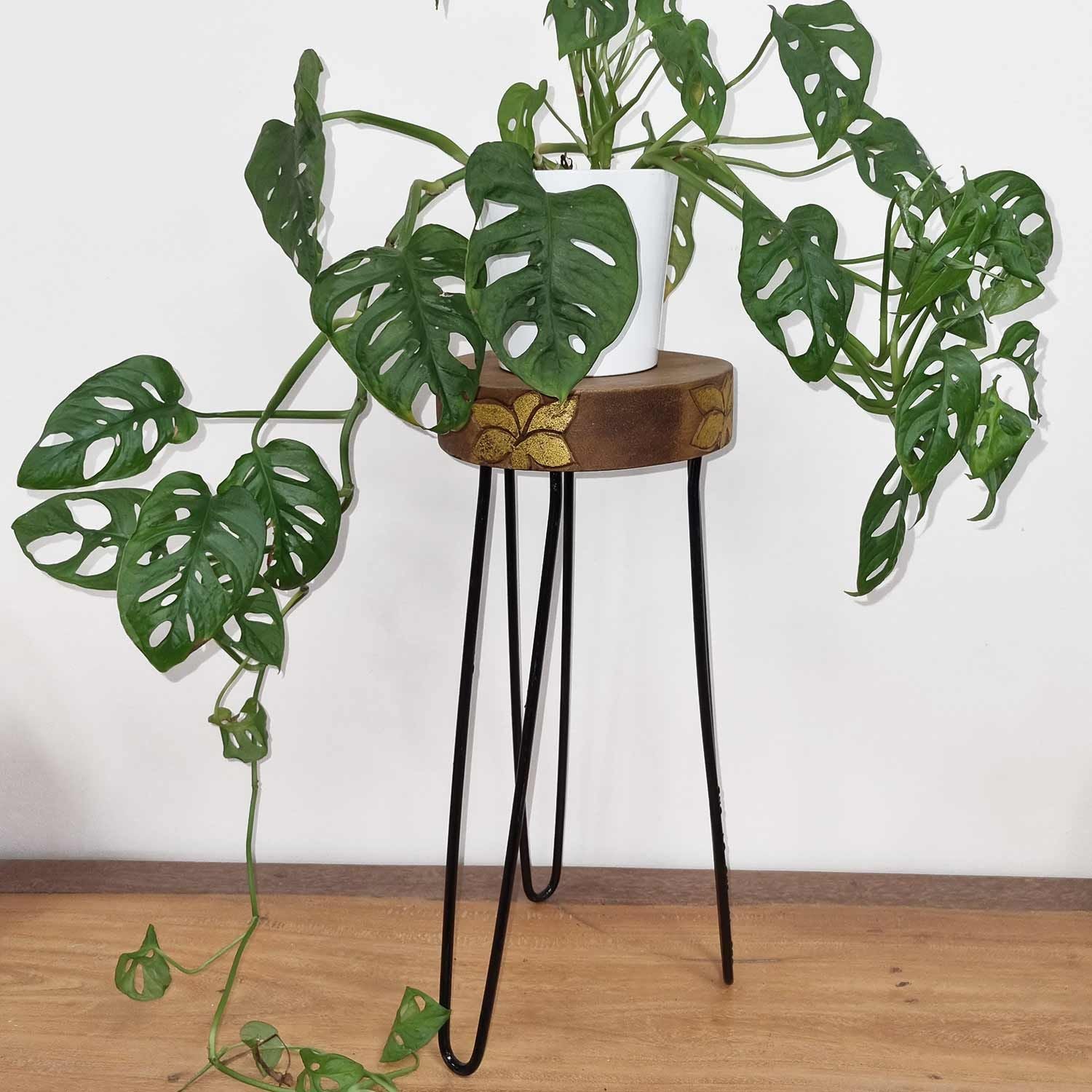 Suporte para Plantas em Madeira de Albasia com Detalhe Natural e Dourado