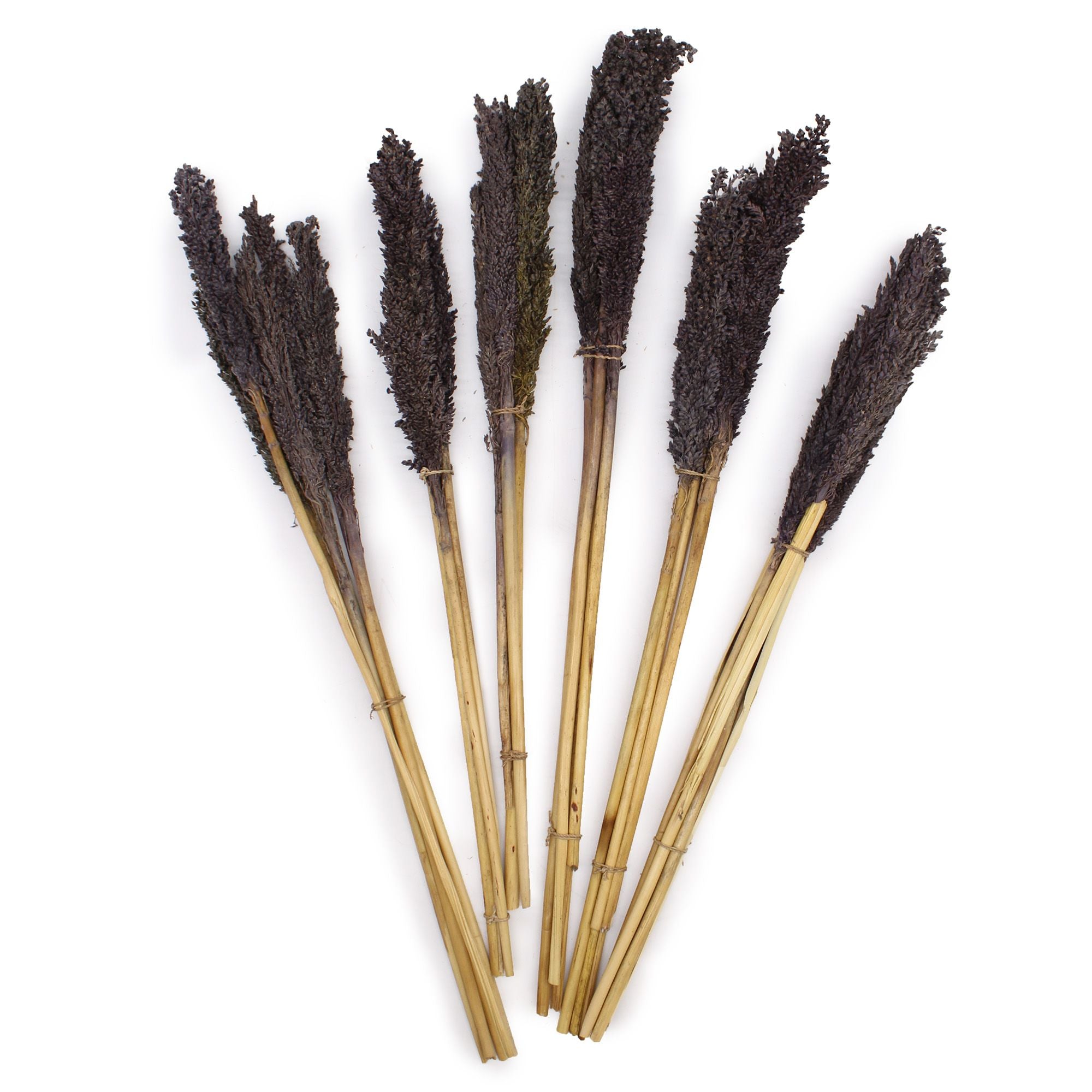 Black Cantal Herb Sauce