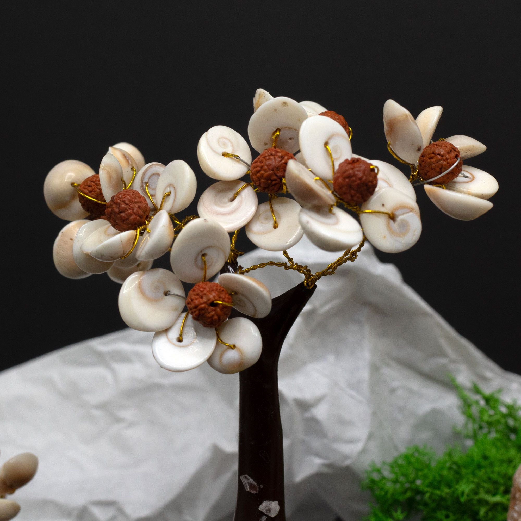 Árvore de Pedra Gomati Chakras Círculo com Rudraksha Médio (45 Pedras)
