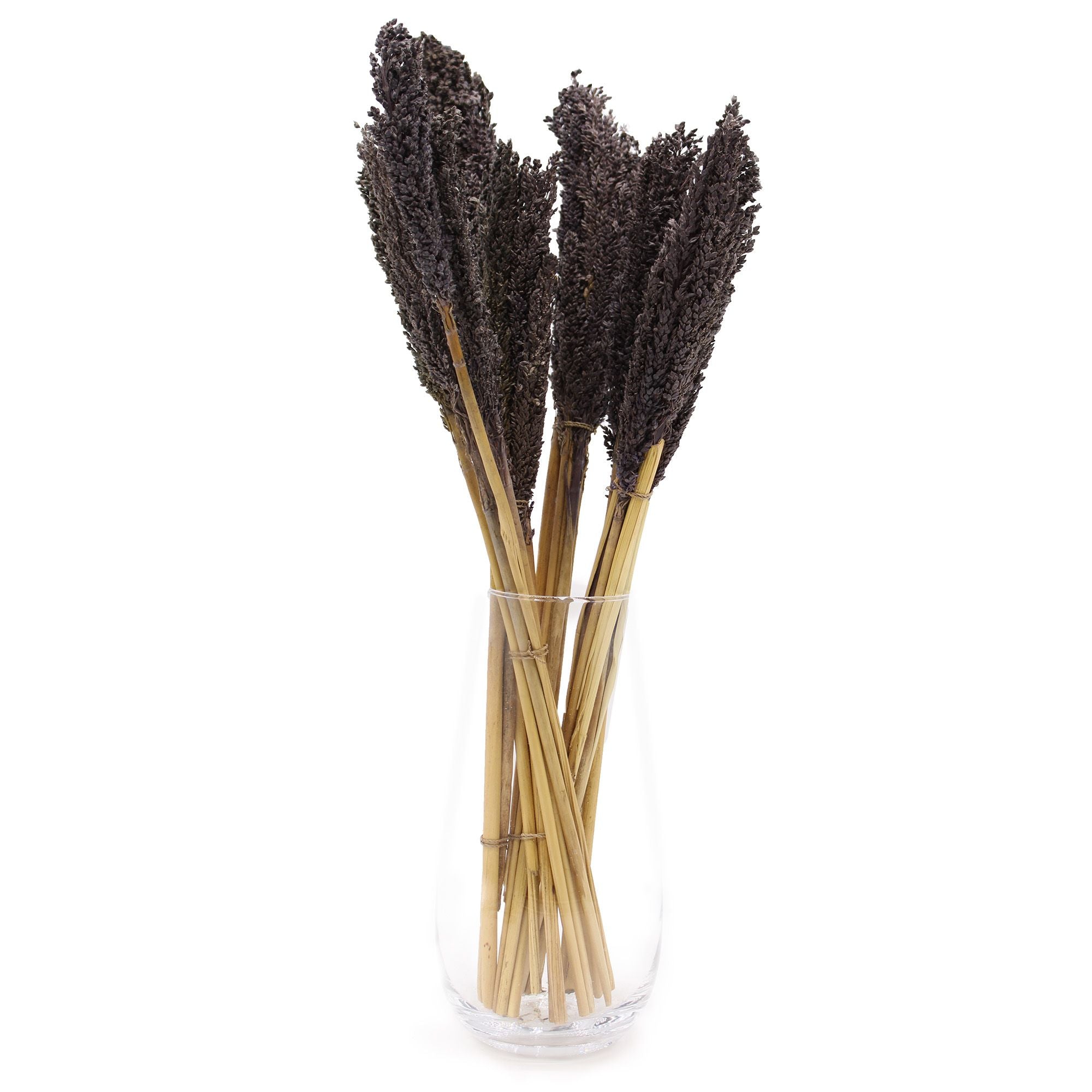 Black Cantal Herb Sauce