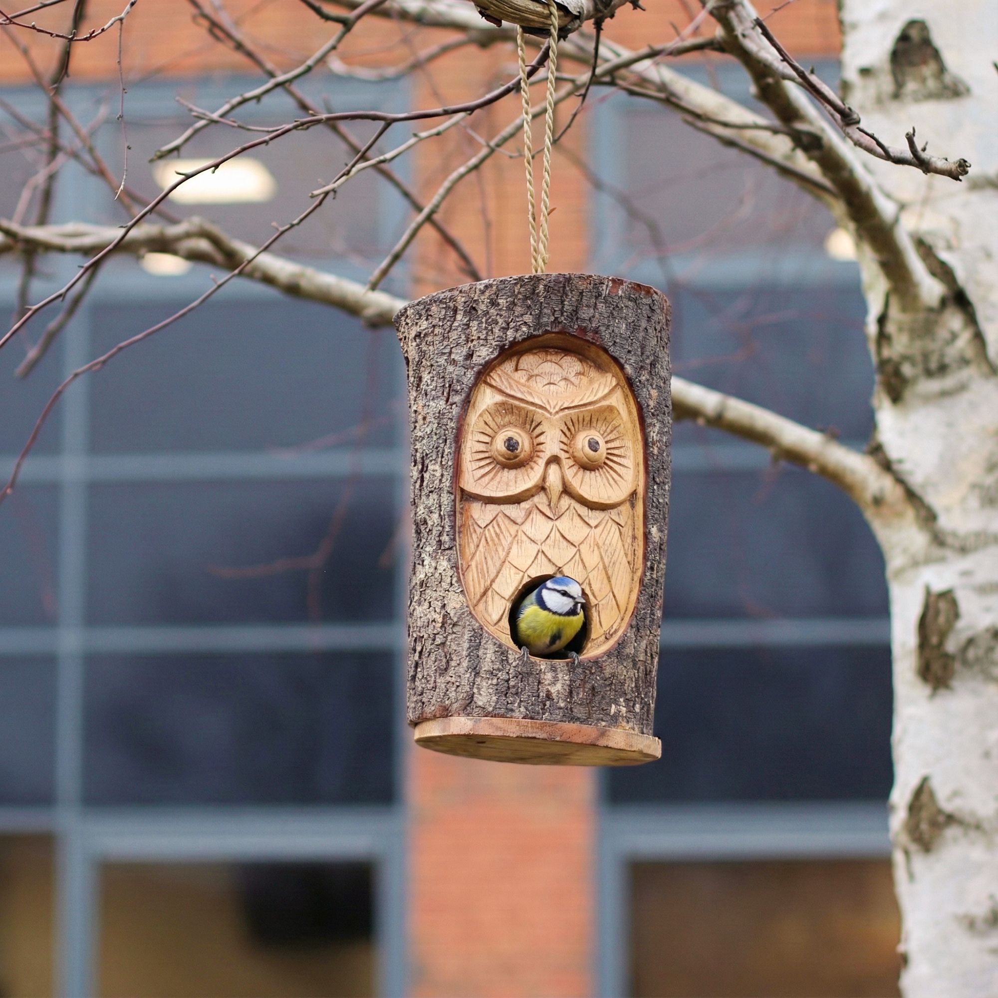 Casa para Aves Tronco de Árvore Coruja Sábia