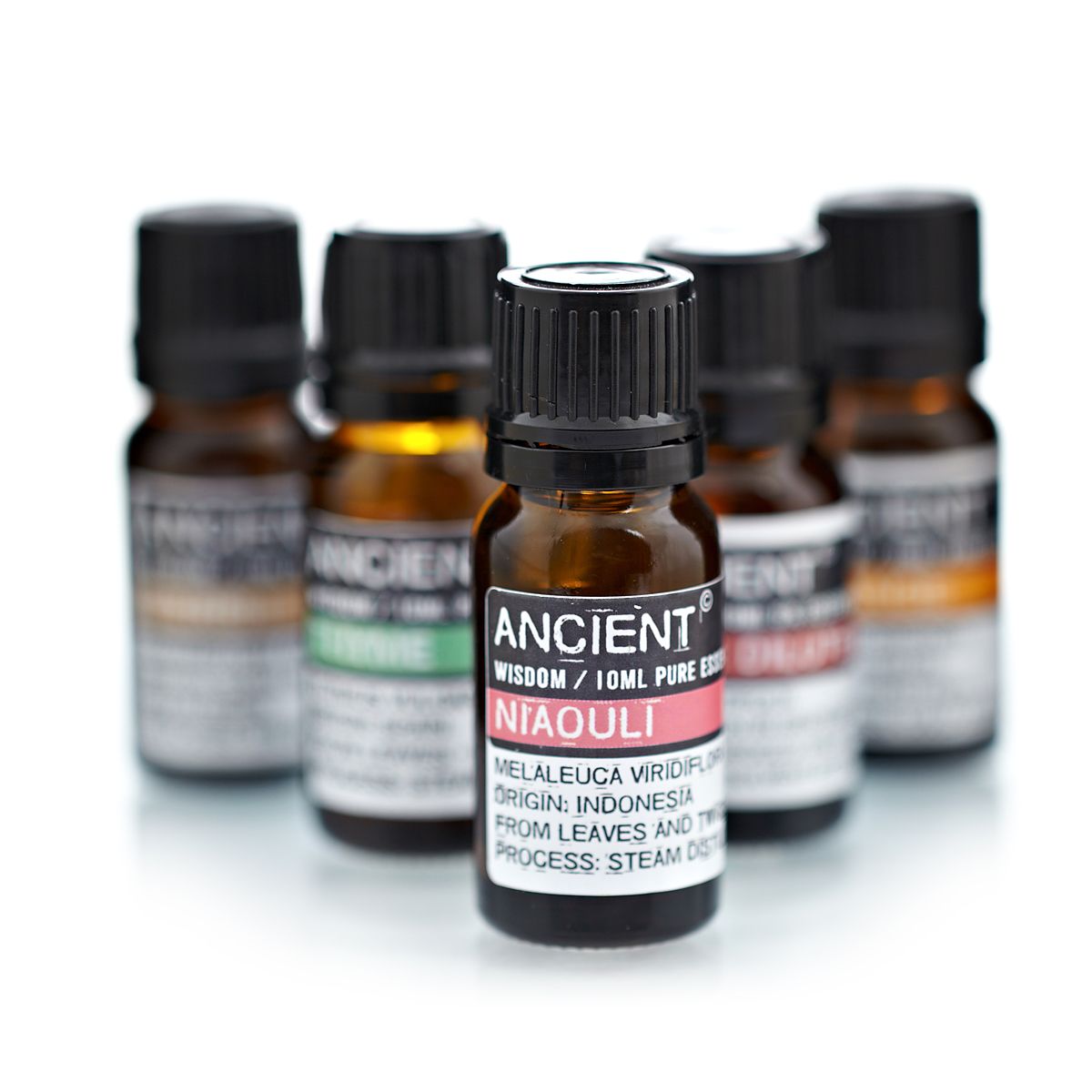 Óleo Essencial Puro – Niaouli 10 ml