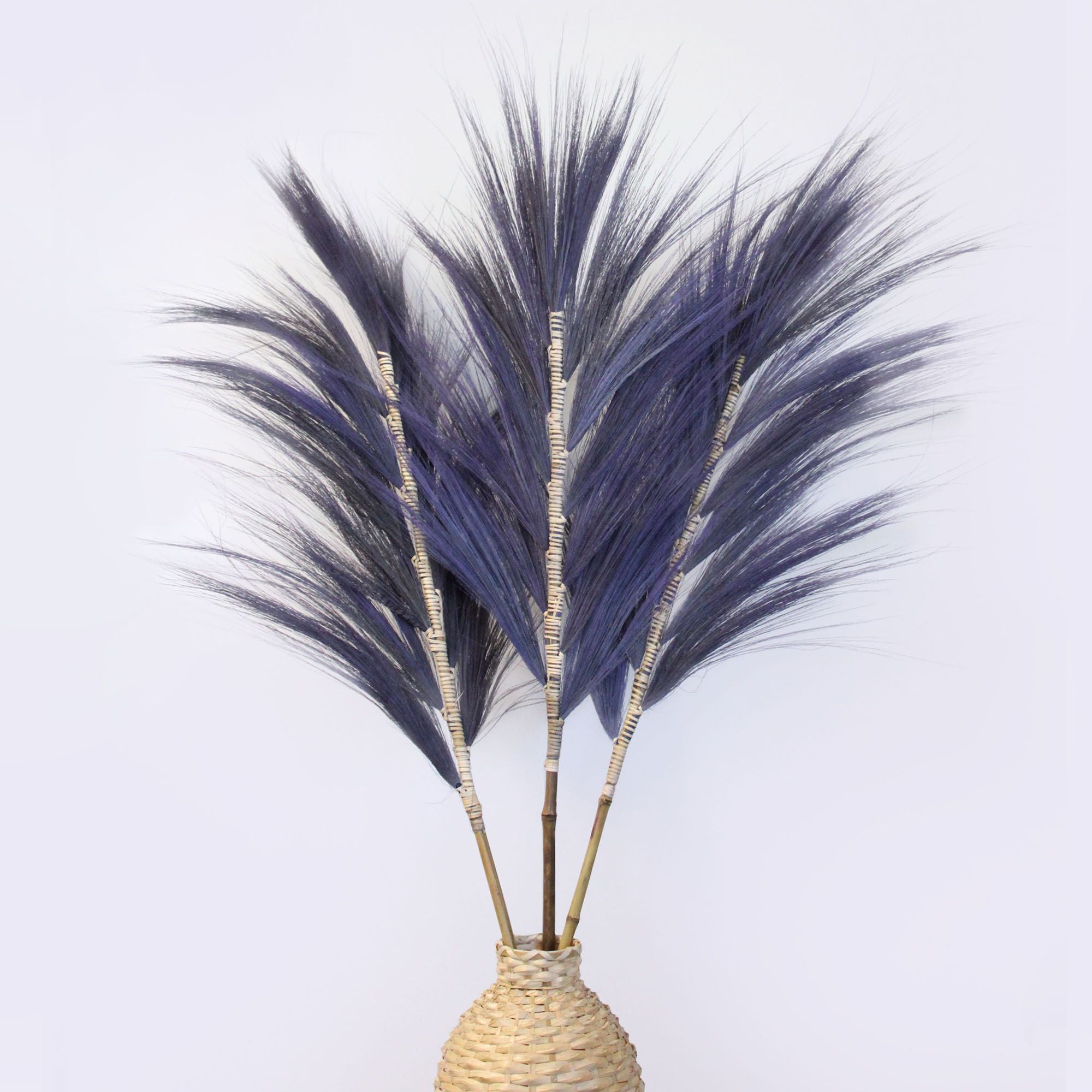 Lavender Rayung Palm