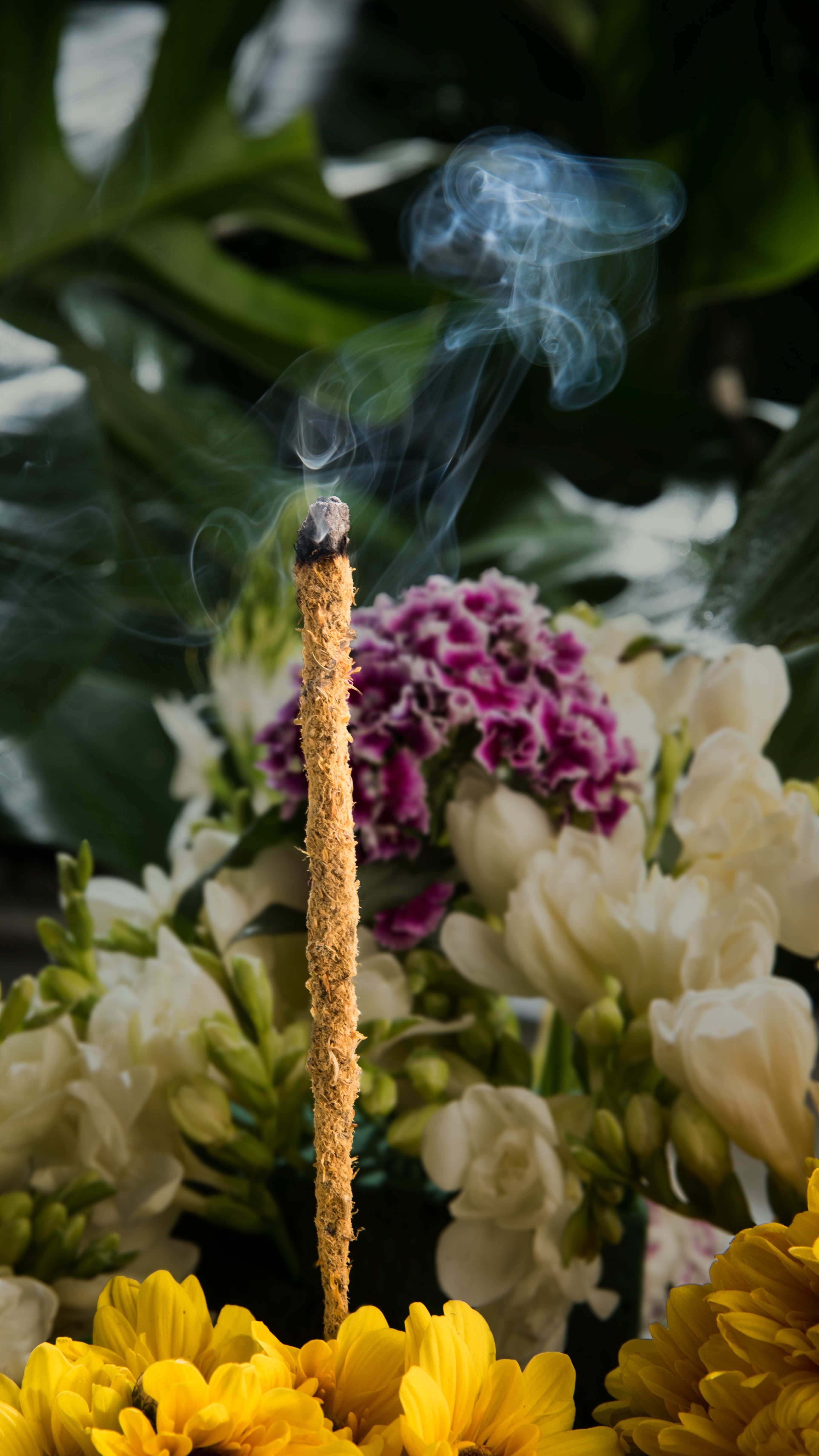 Incenso Botânico Gardenia e Calêndula