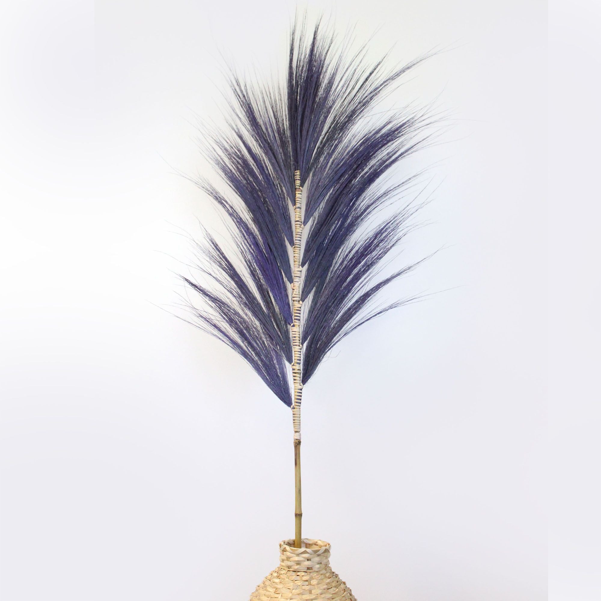 Lavender Rayung Palm