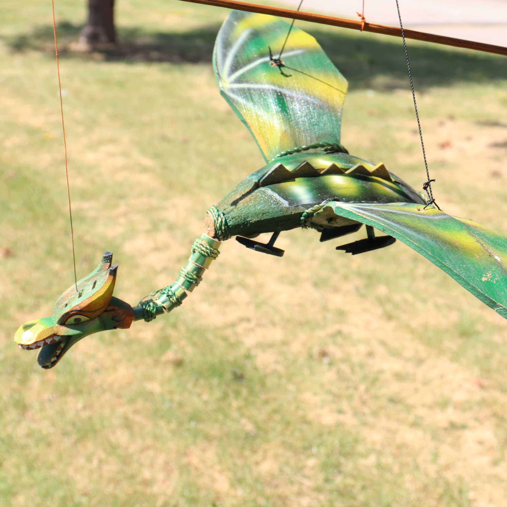Dragão Voador Verde