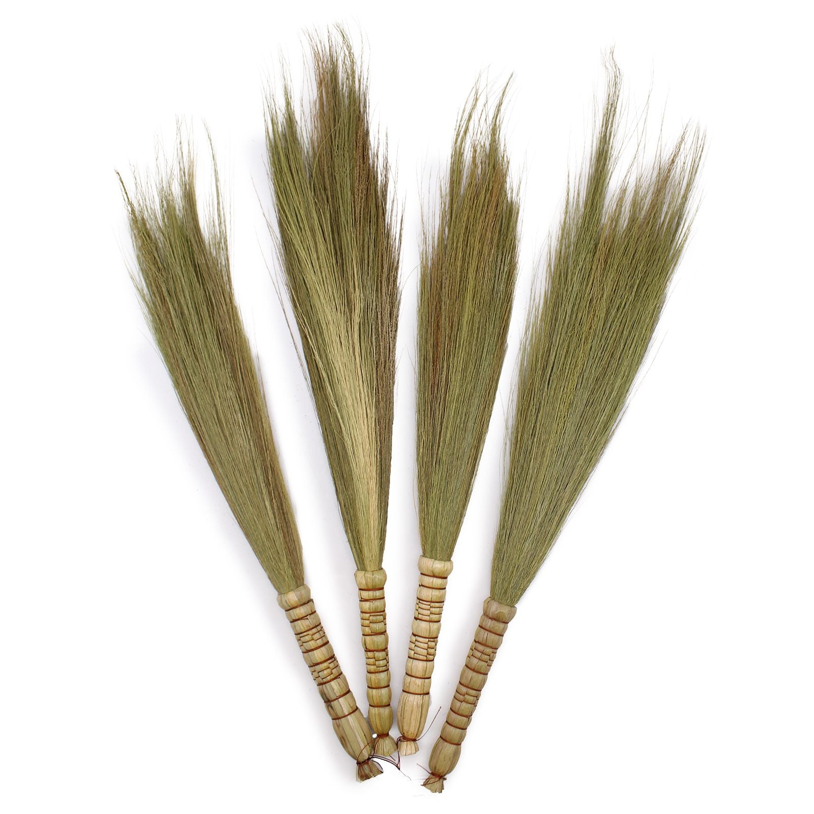 Conjunto de Pampas Tipo Vassoura Natural