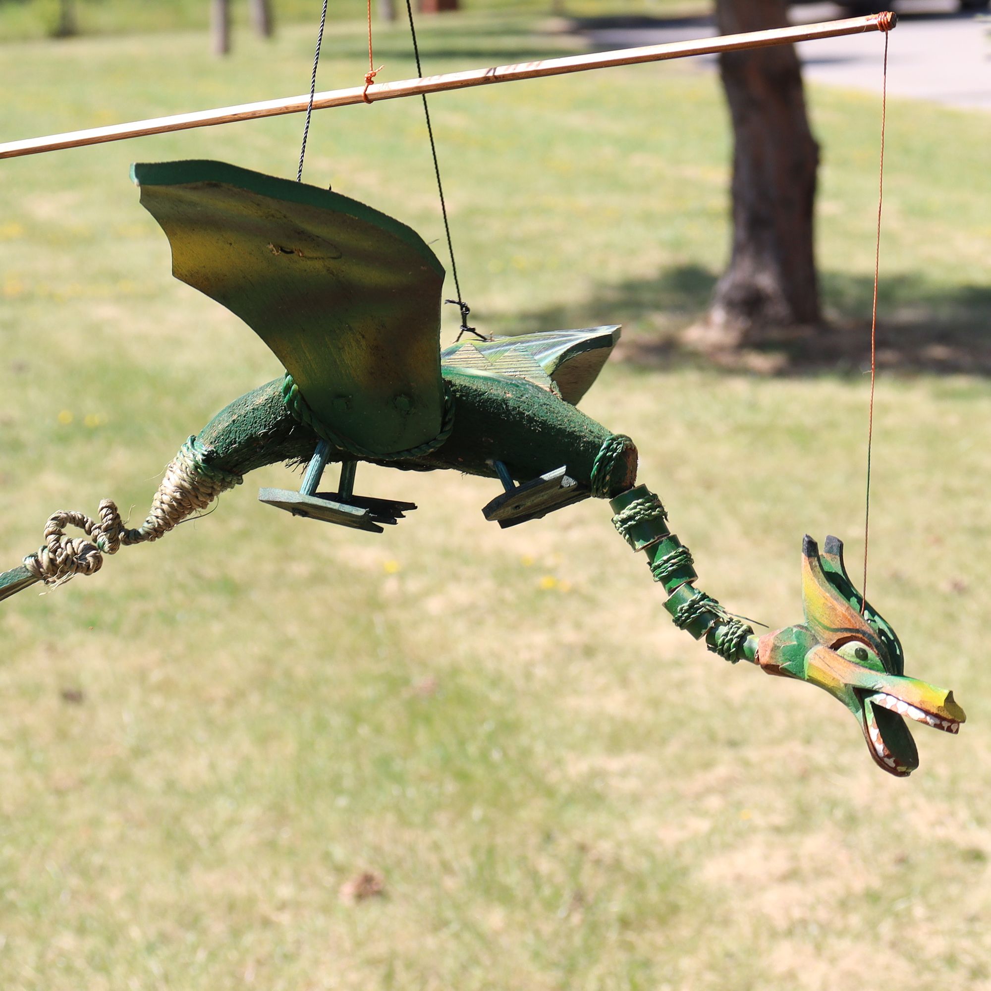Dragão Voador Verde