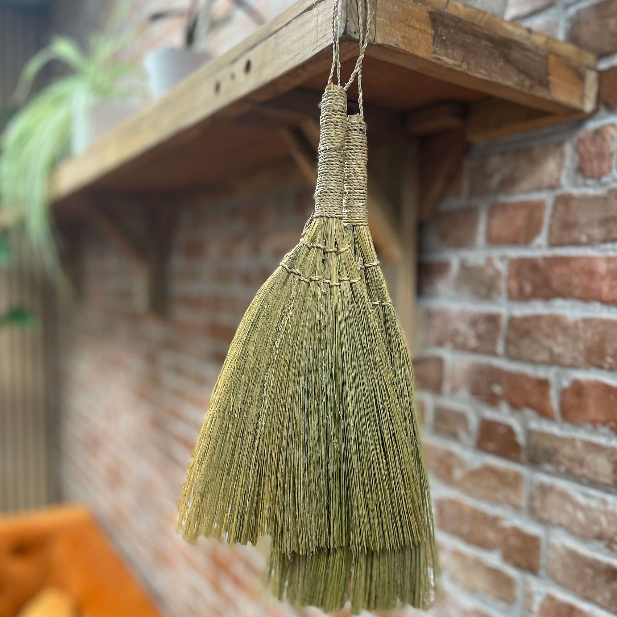 Conjunto de Pampas em Leque Natural com Tamanhos Mistos