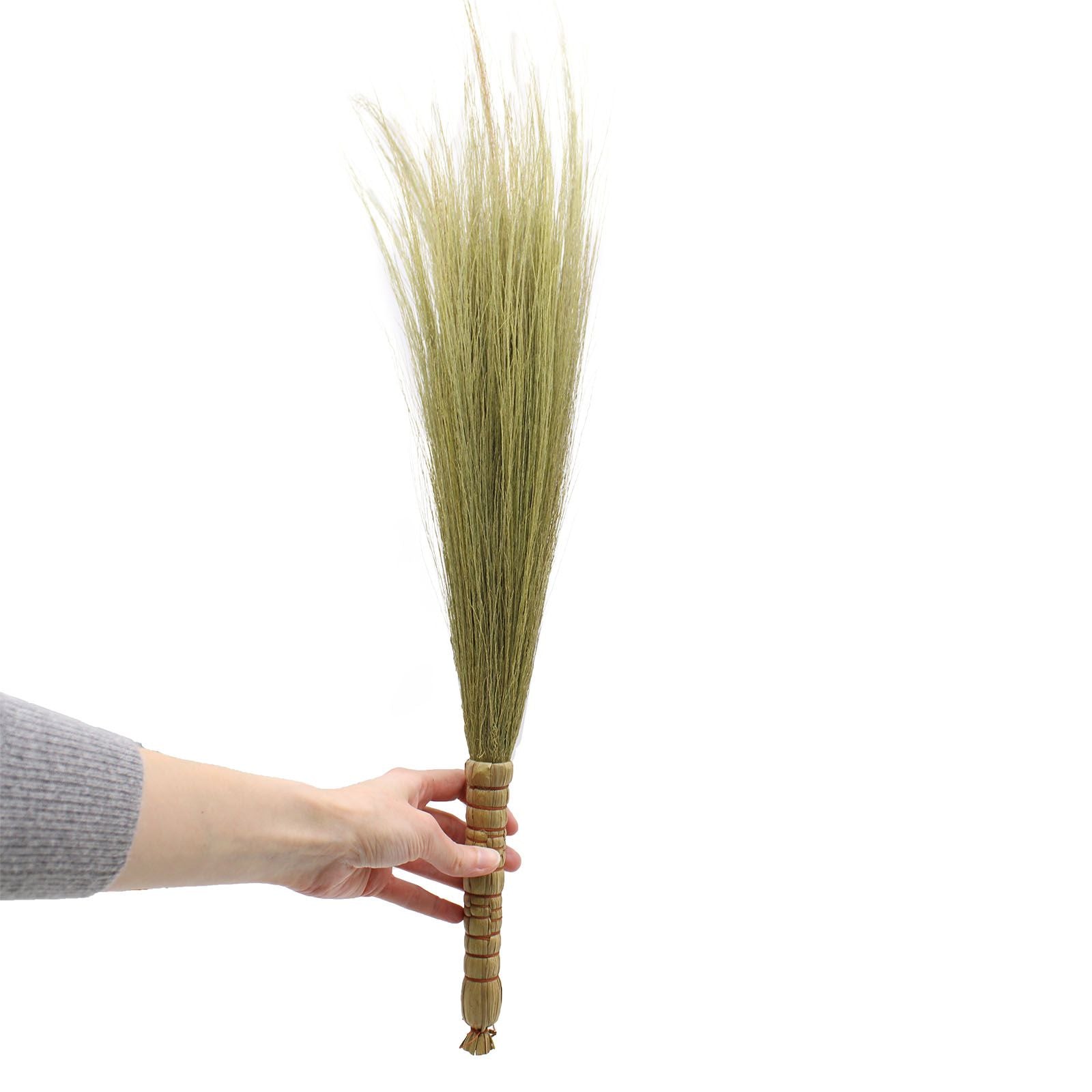Conjunto de Pampas Tipo Vassoura Natural