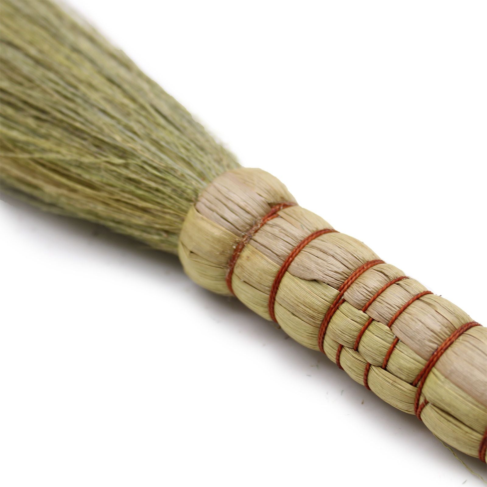 Conjunto de Pampas Tipo Vassoura Natural