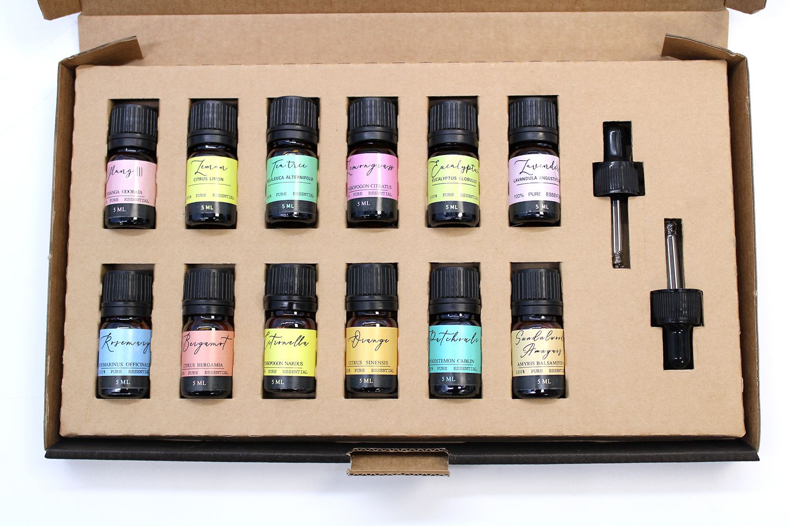Conjunto de Óleos Essenciais de Aromaterapia – The Top 12 (12×5 ml)