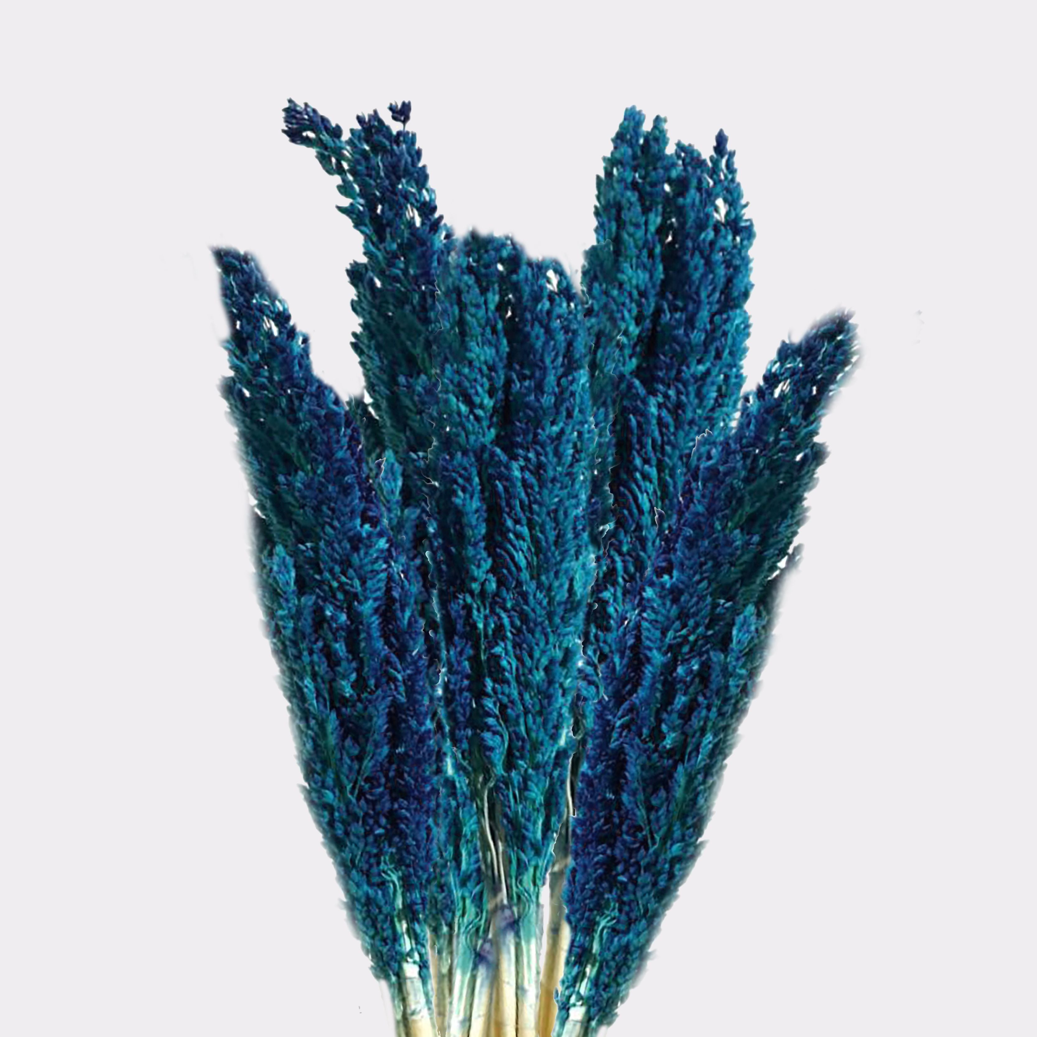 Molho de Erva Cantal Azul