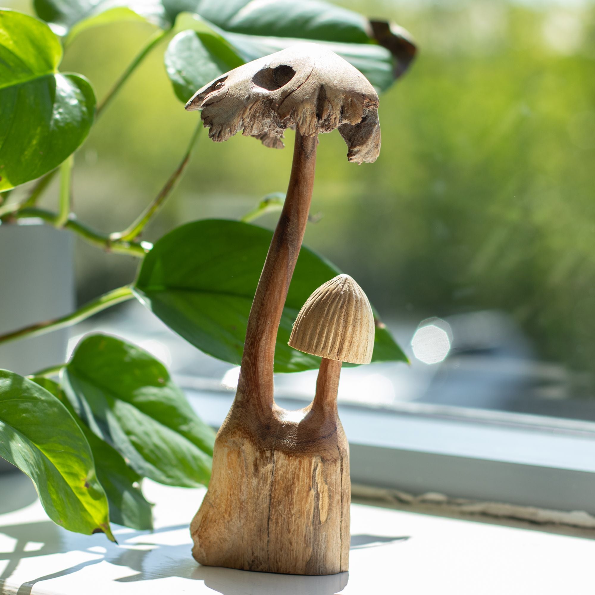 Conjunto de 2 Cogumelos em Madeira Parasita