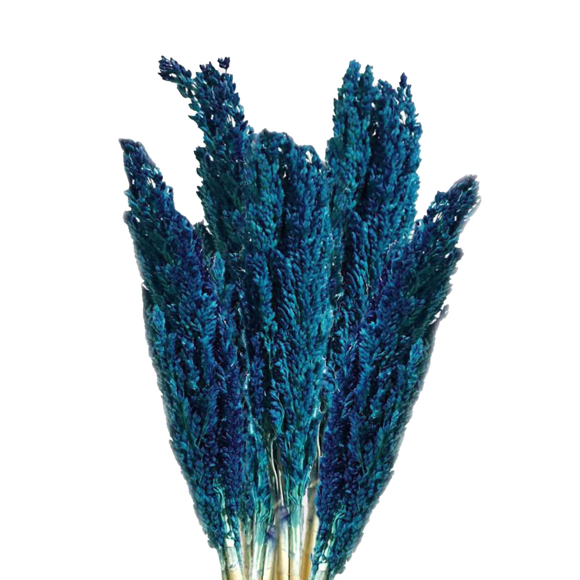 Molho de Erva Cantal Azul